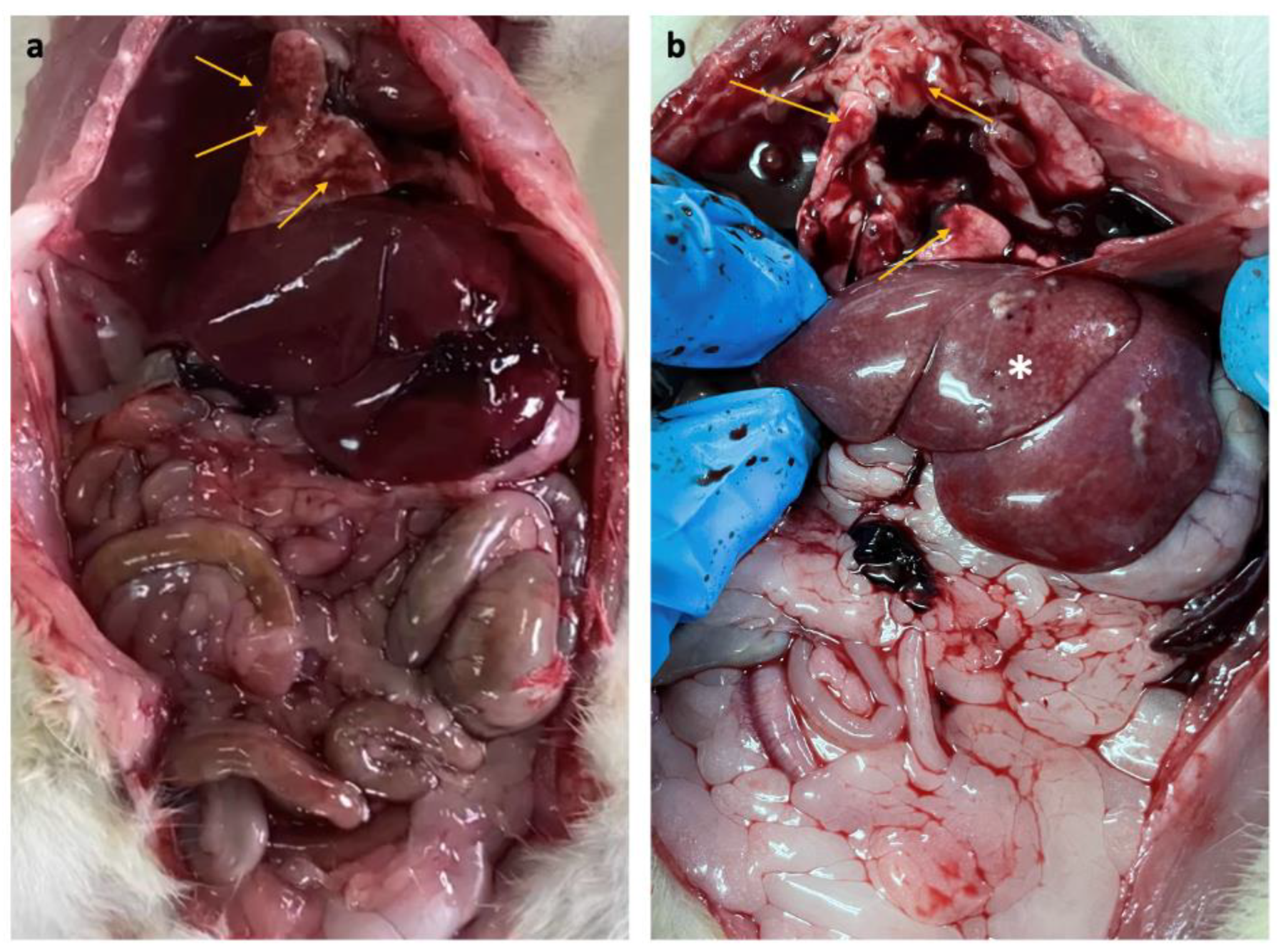 Biology 12 00310 g003
