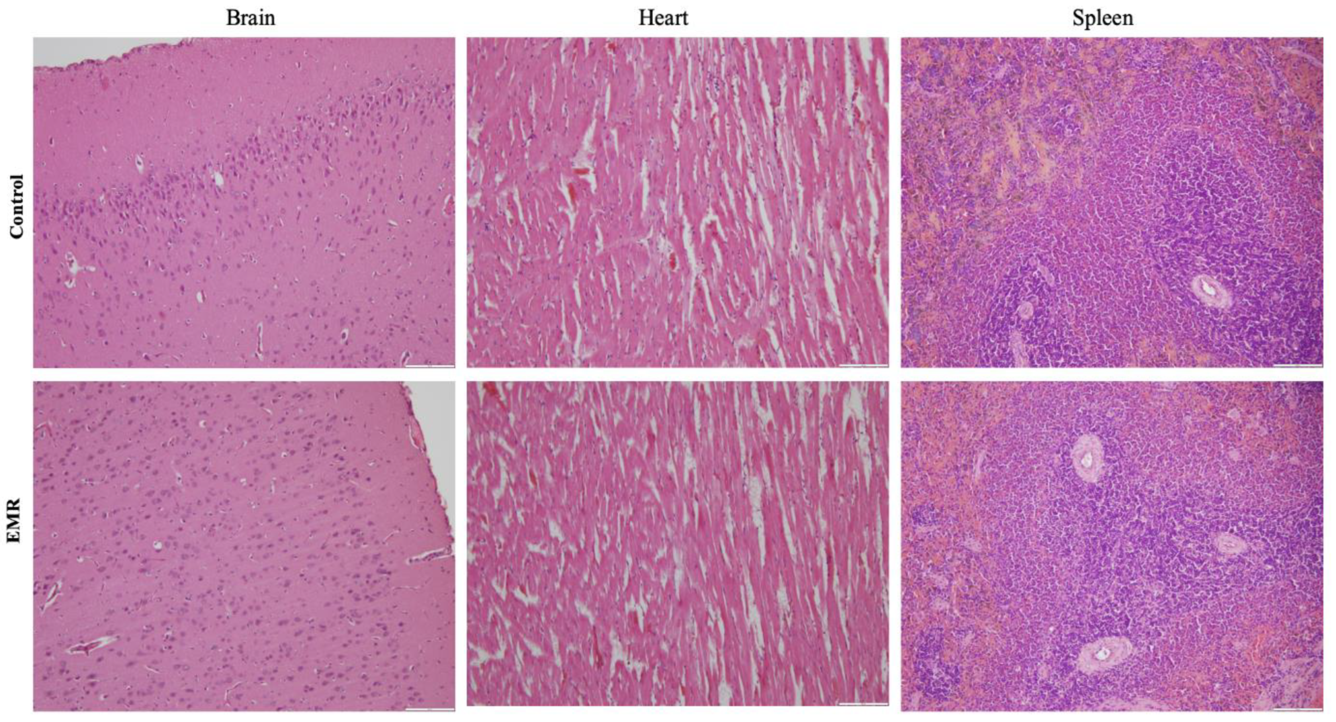 Biology 12 00310 g005
