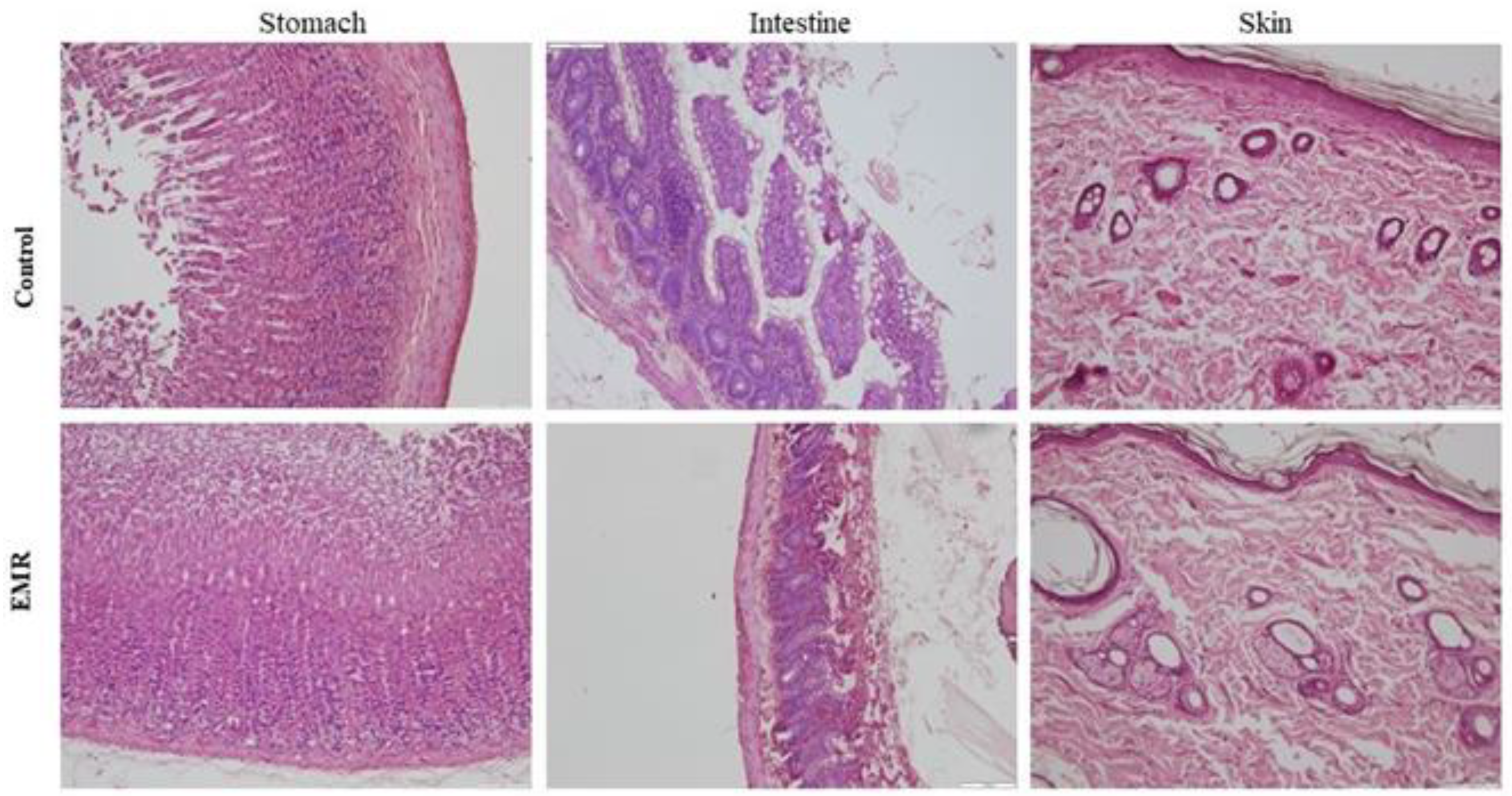 Biology 12 00310 g007