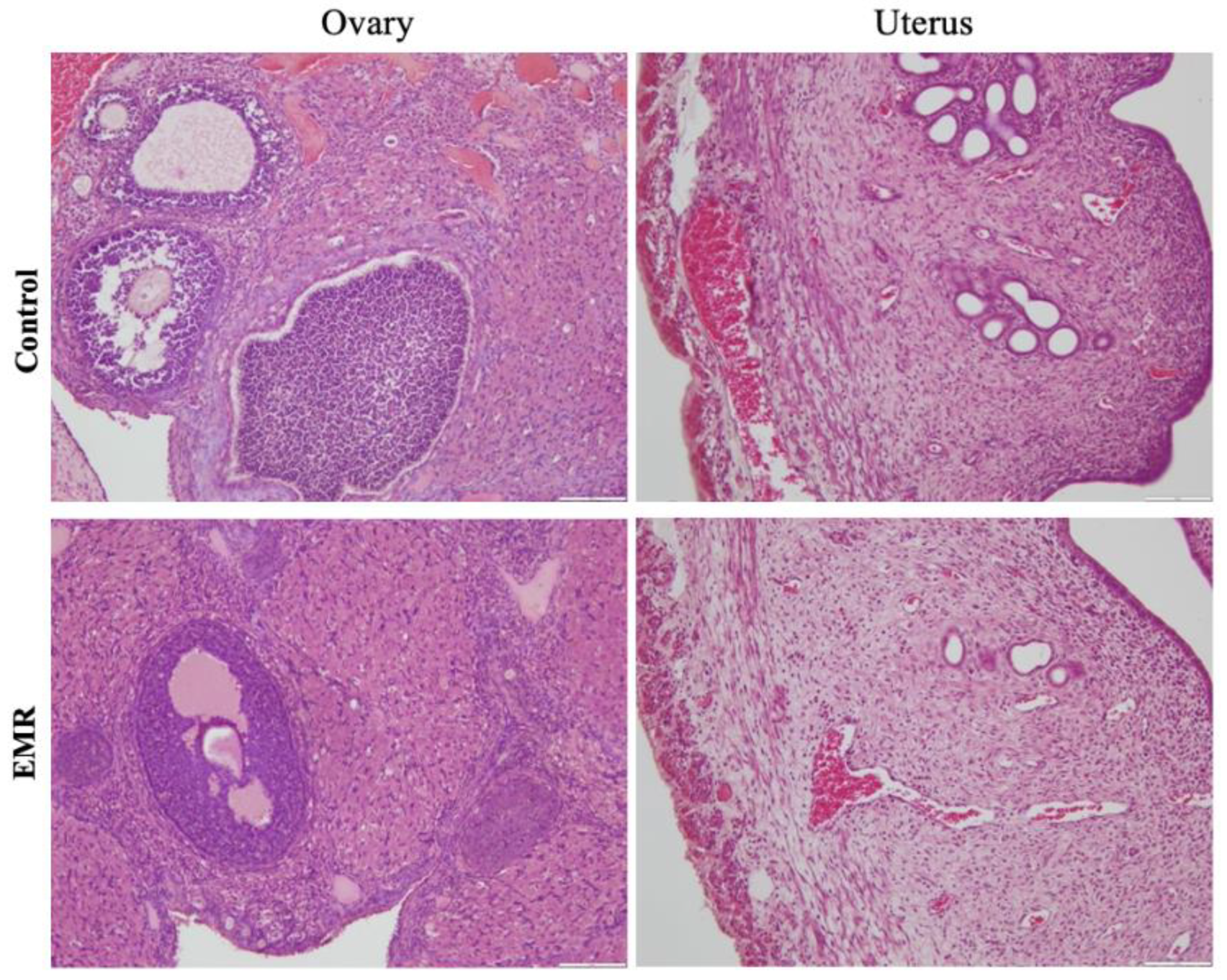 Biology 12 00310 g008