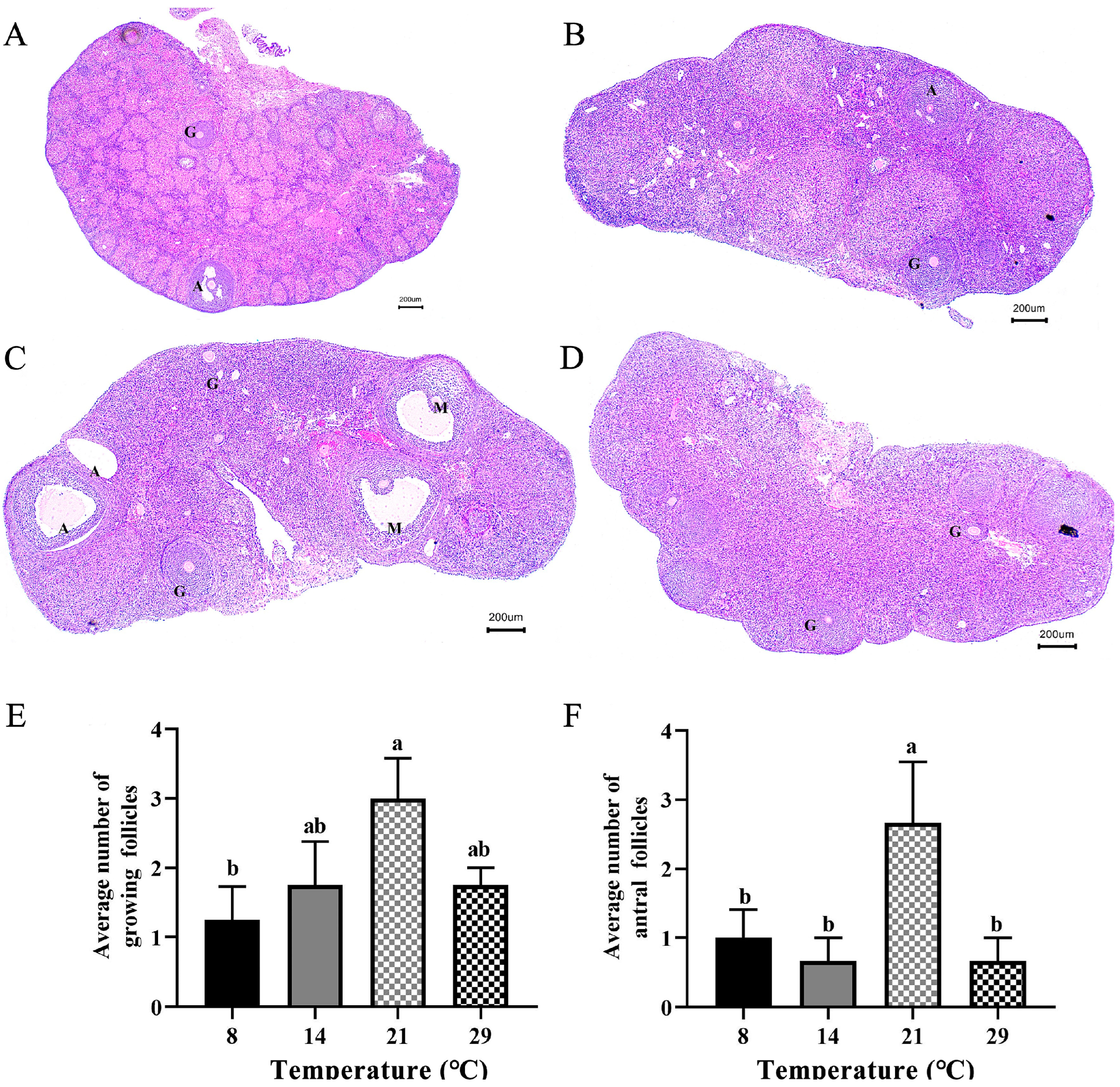 Biology 12 00315 g001