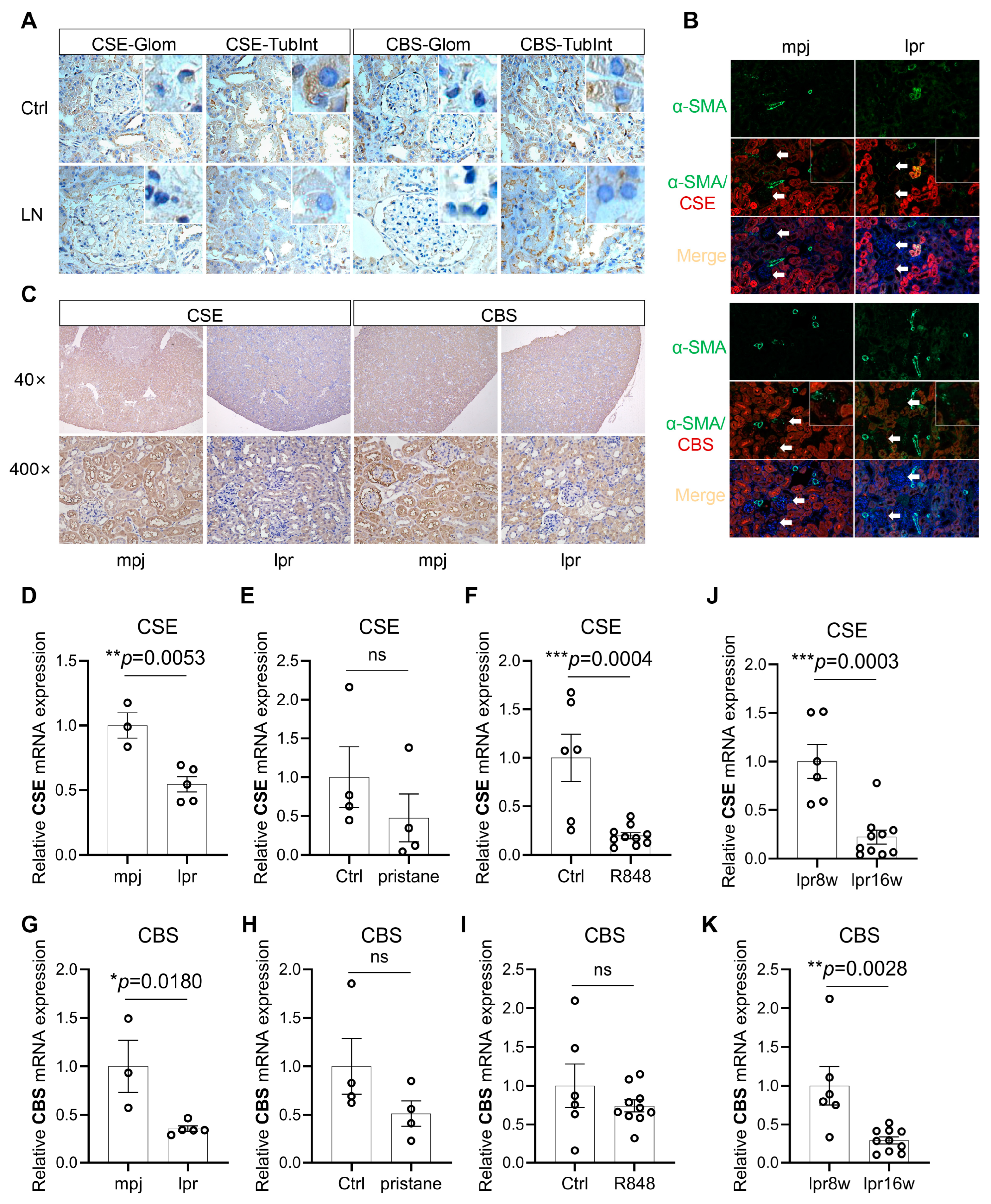 Biology 12 00318 g002 Biology 12 00318 g002