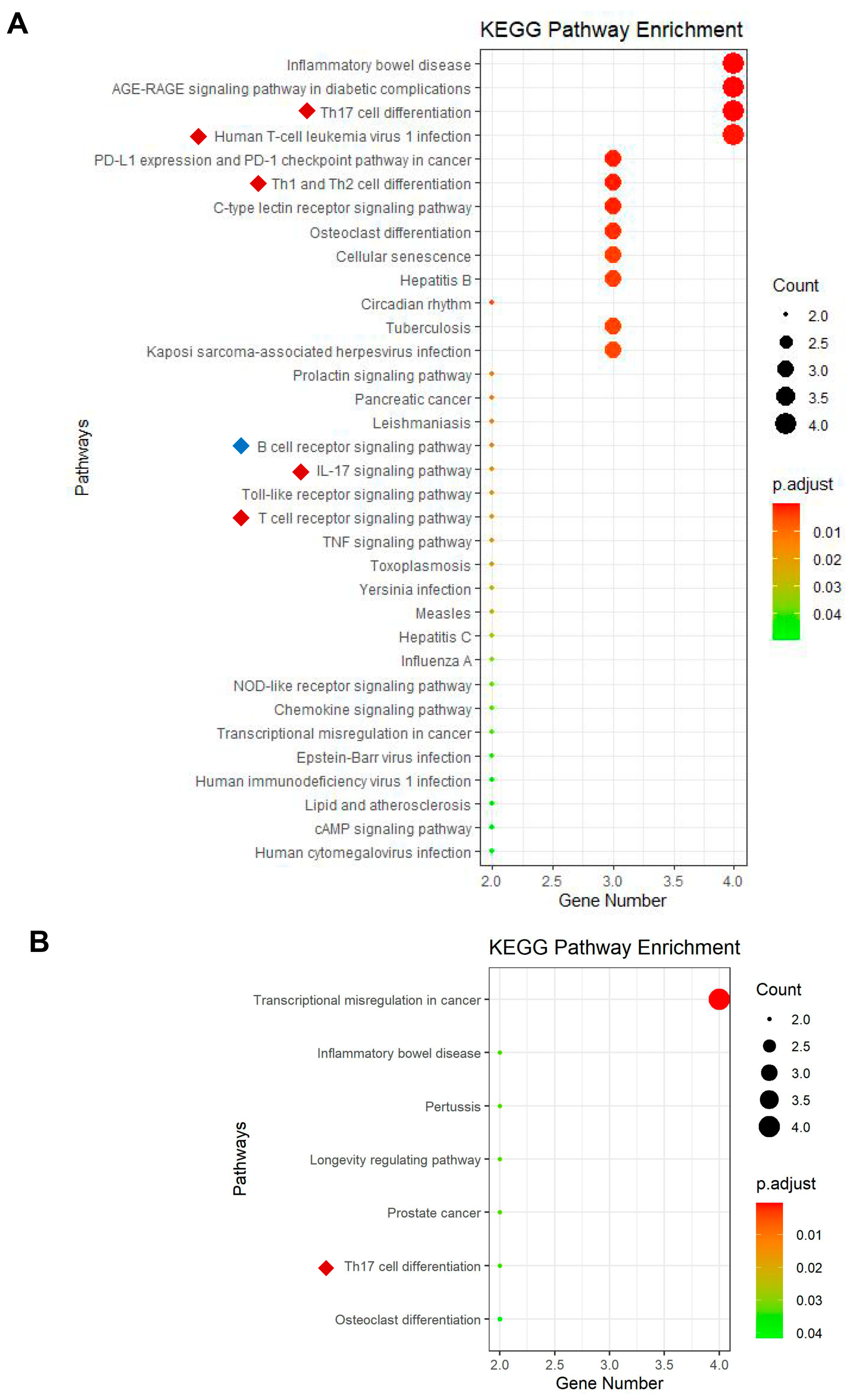 Biology 12 00318 g005 Biology 12 00318 g005