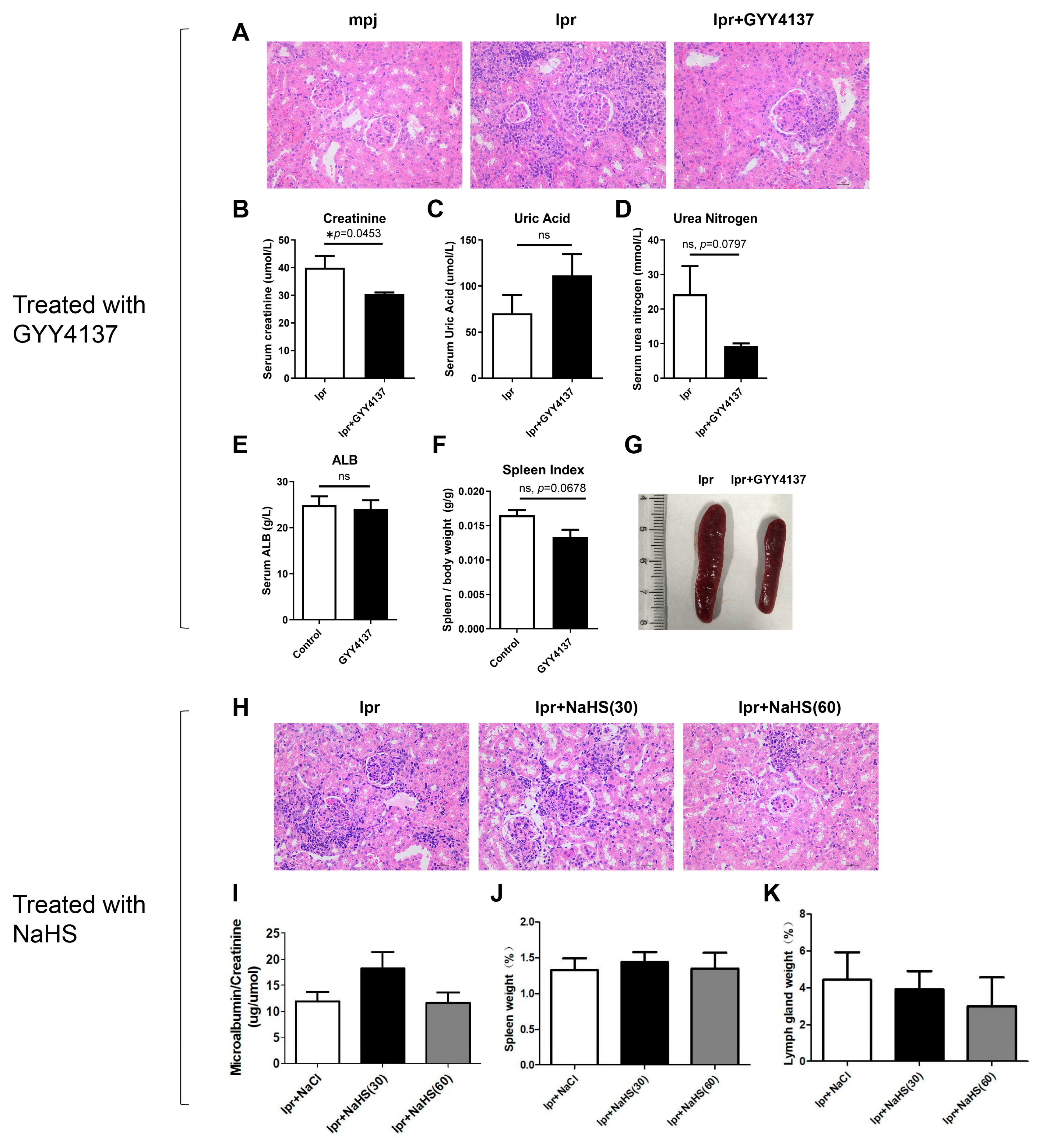 Biology 12 00318 g008 Biology 12 00318 g008