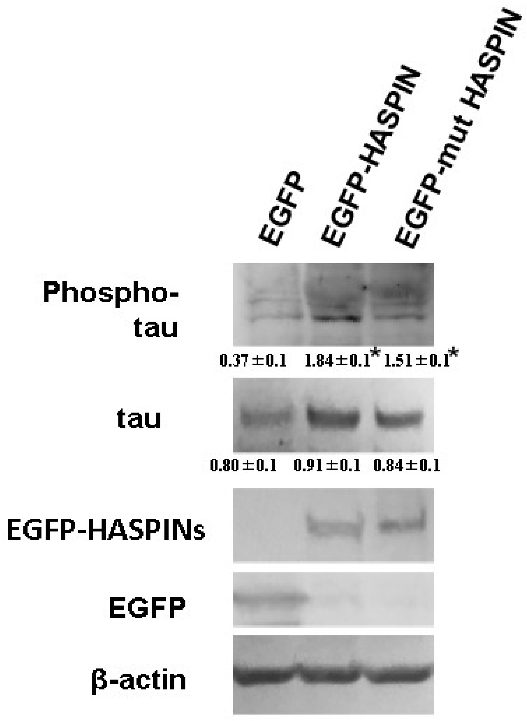 Biology 12 00320 g004