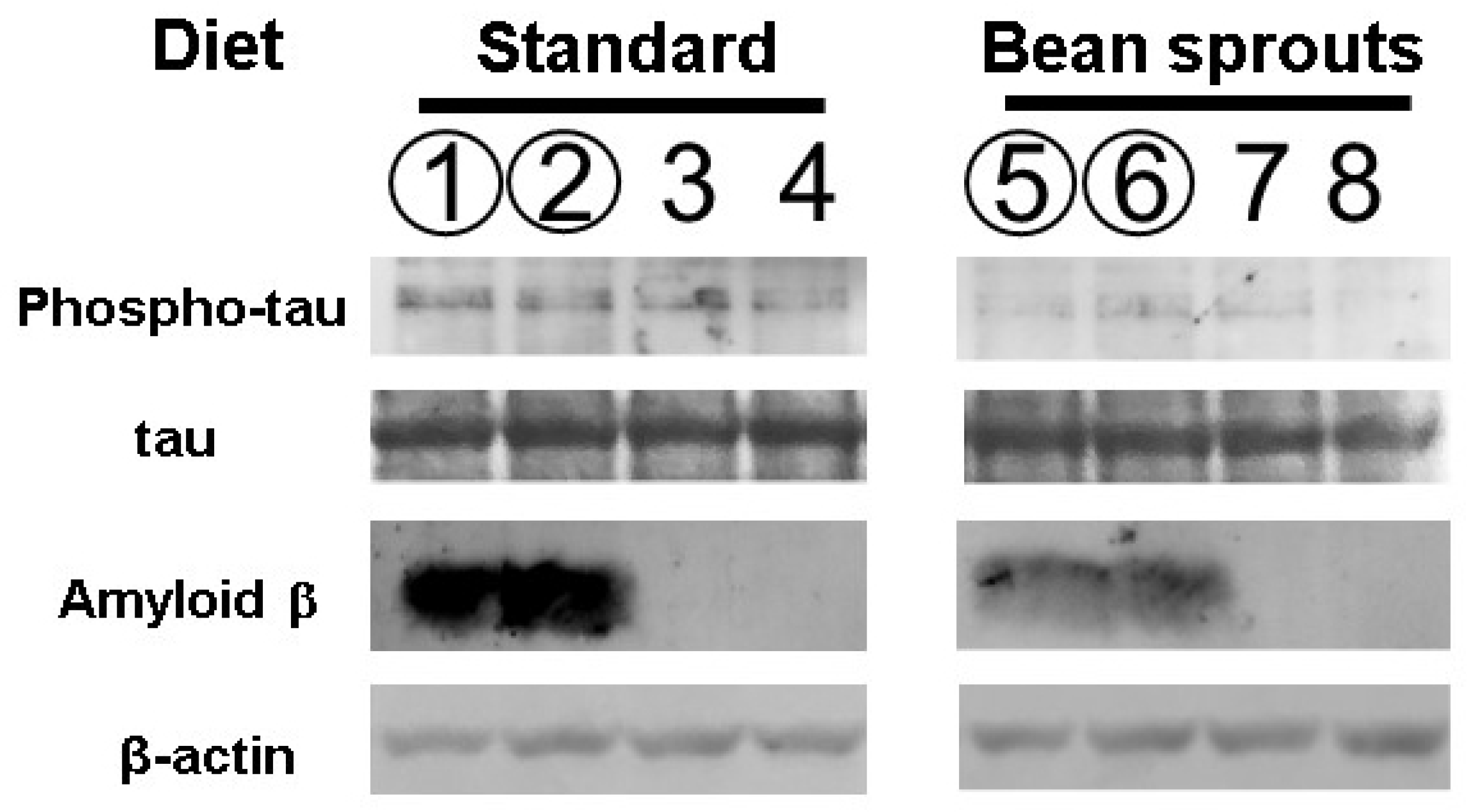 Biology 12 00320 g006