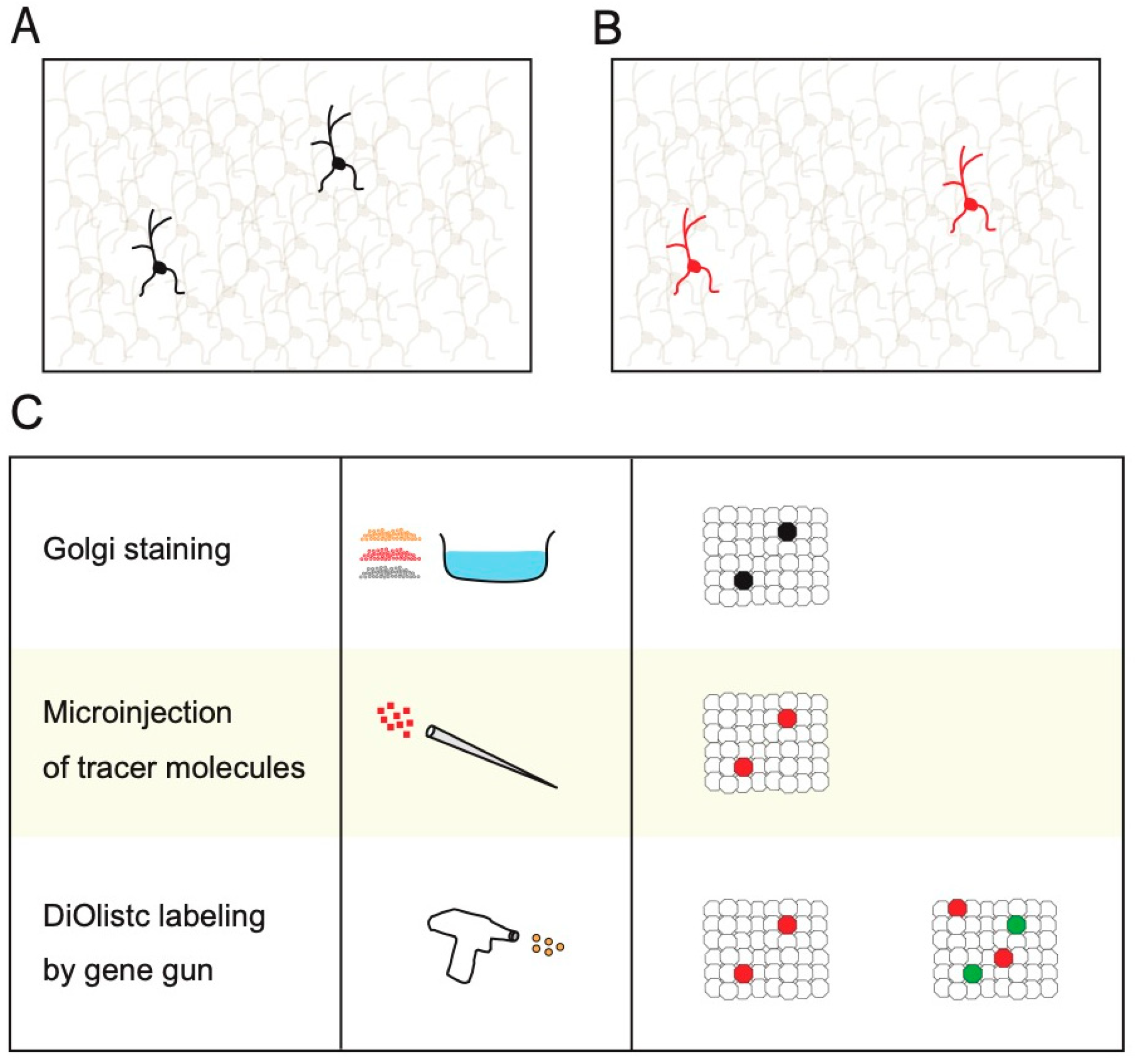 Biology 12 00321 g001