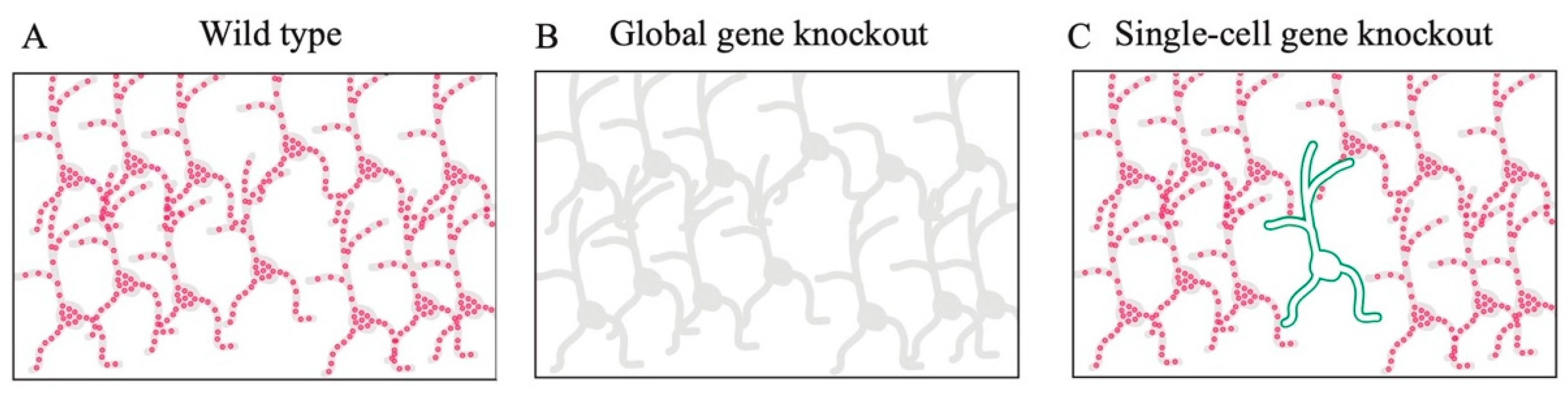 Biology 12 00321 g004