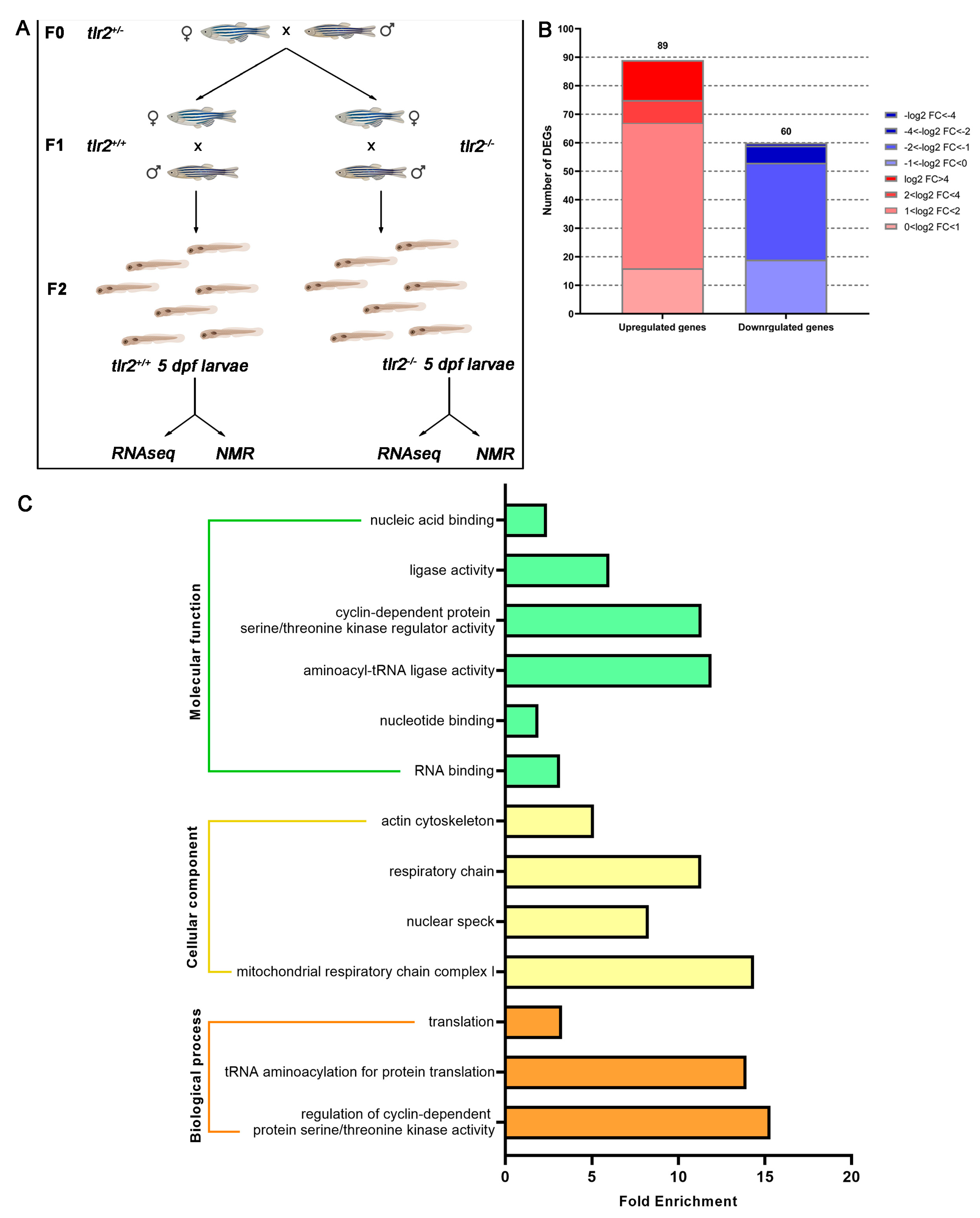 Biology 12 00323 g001