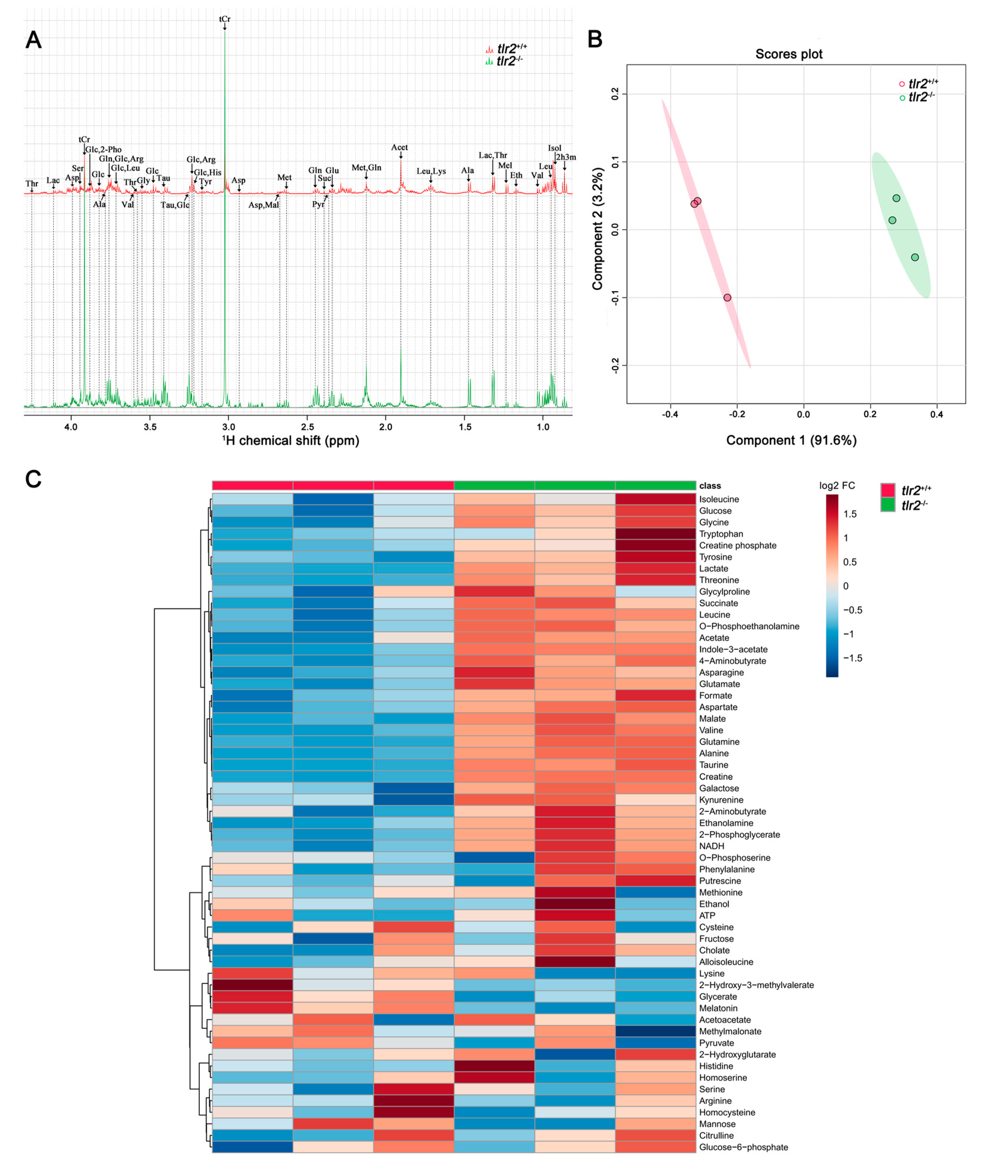 Biology 12 00323 g004