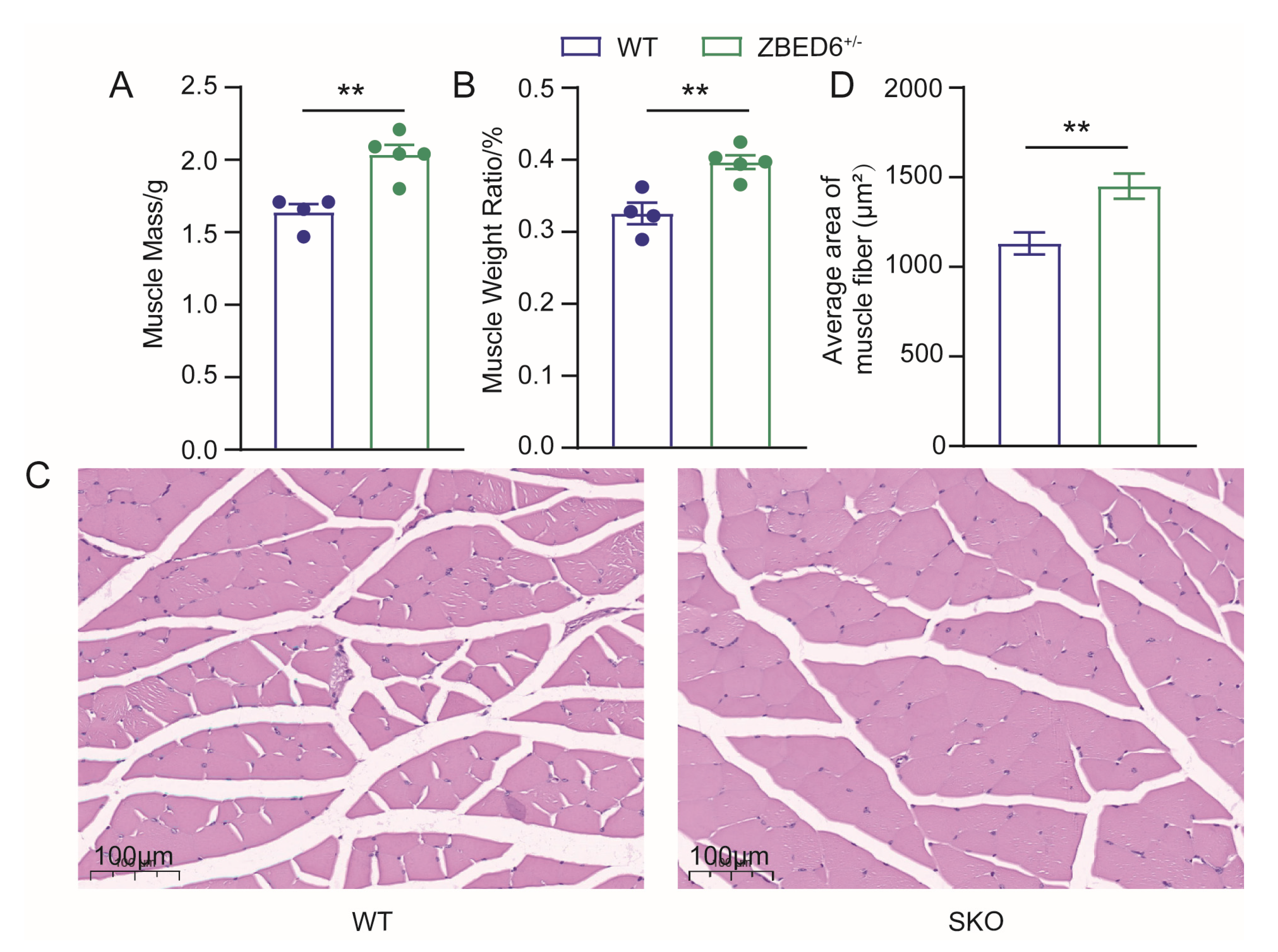 Biology 12 00325 g002