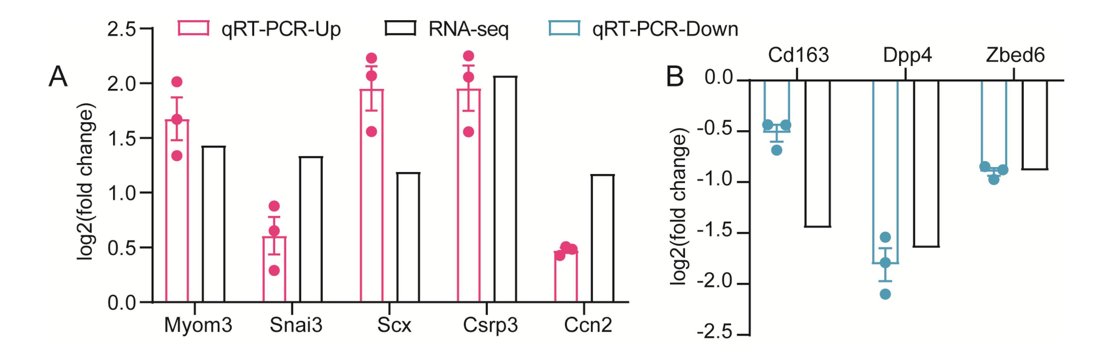 Biology 12 00325 g008