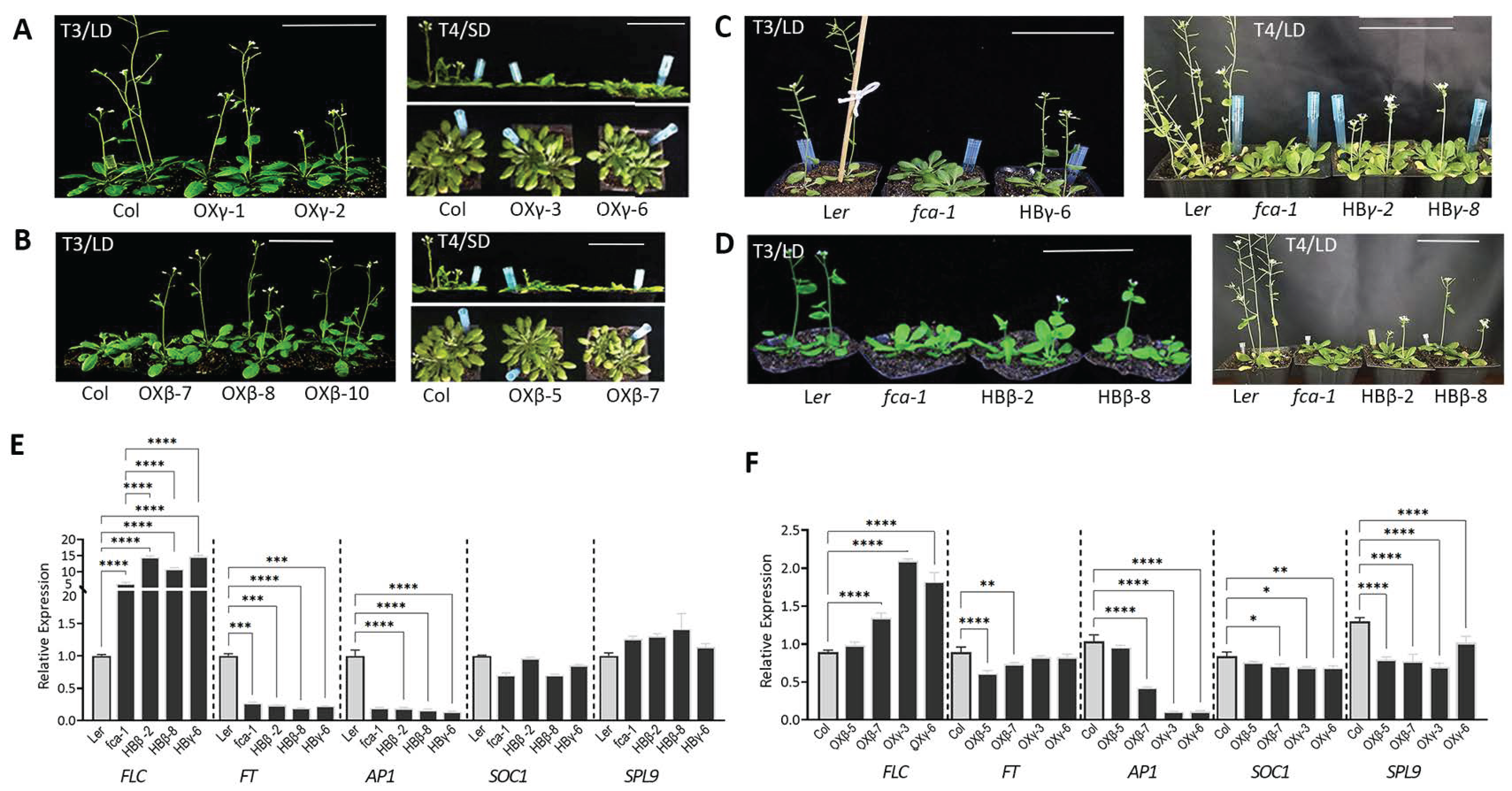 Biology 12 00331 g003