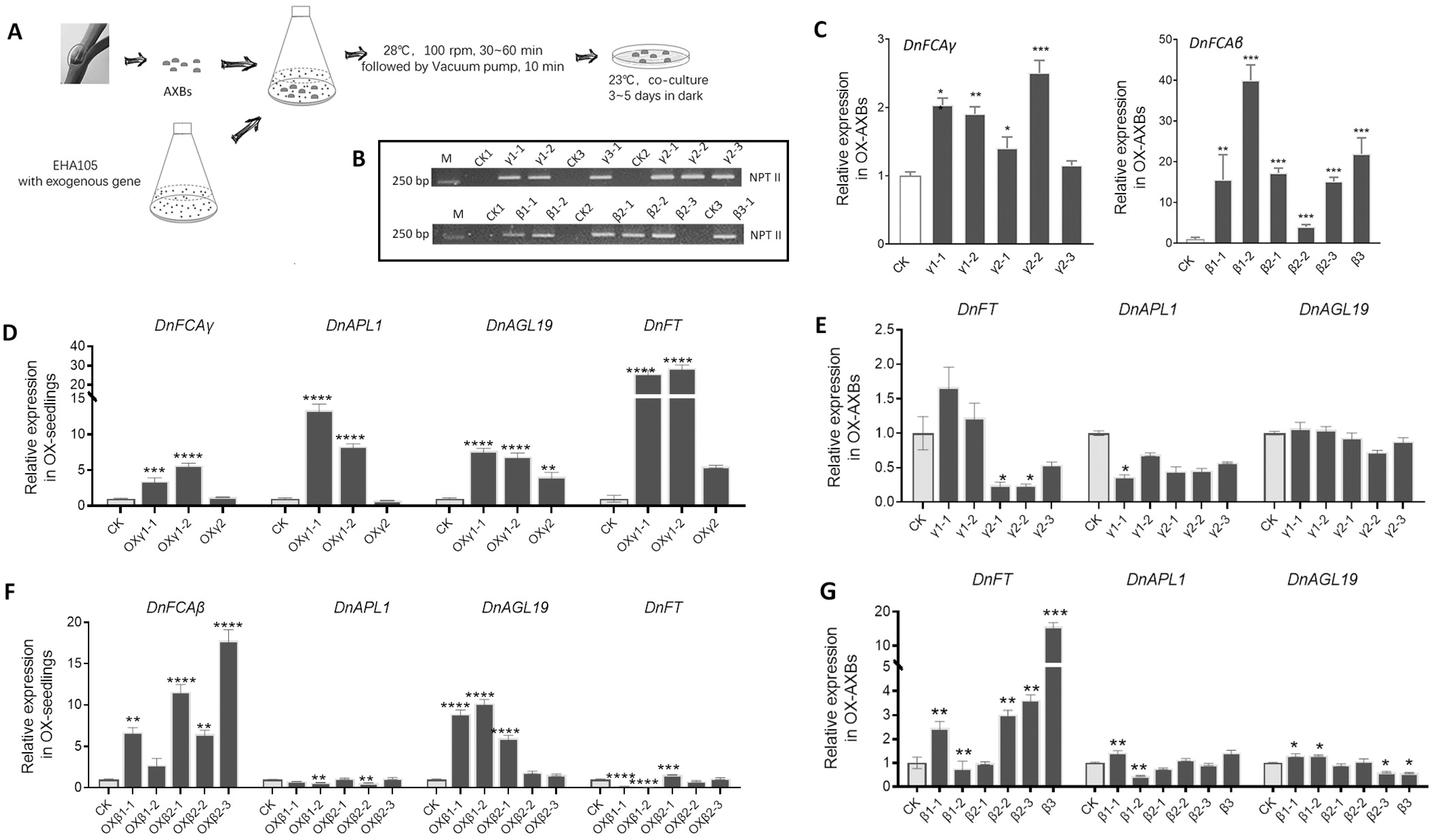 Biology 12 00331 g004