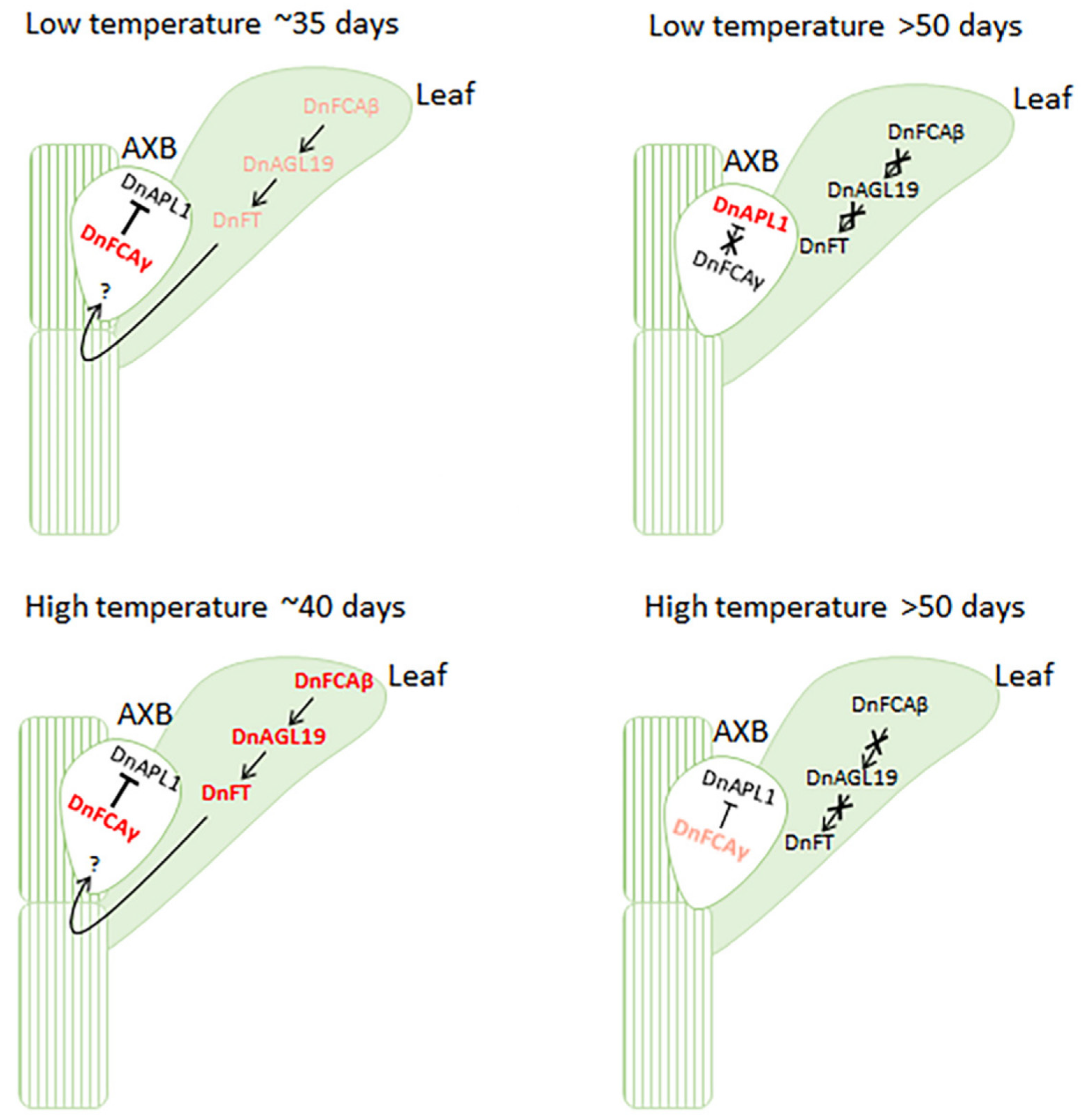 Biology 12 00331 g007