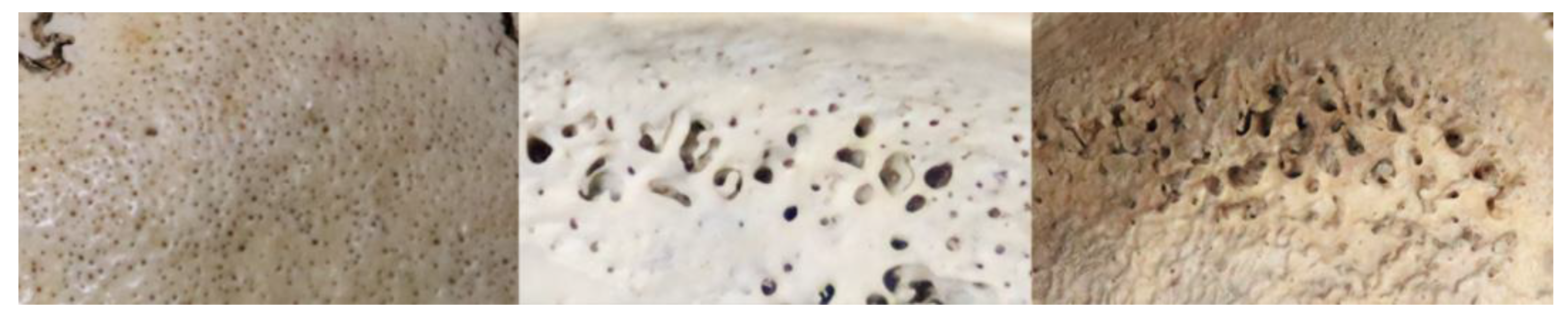 Biology 12 00335 g002 Biology 12 00335 g002