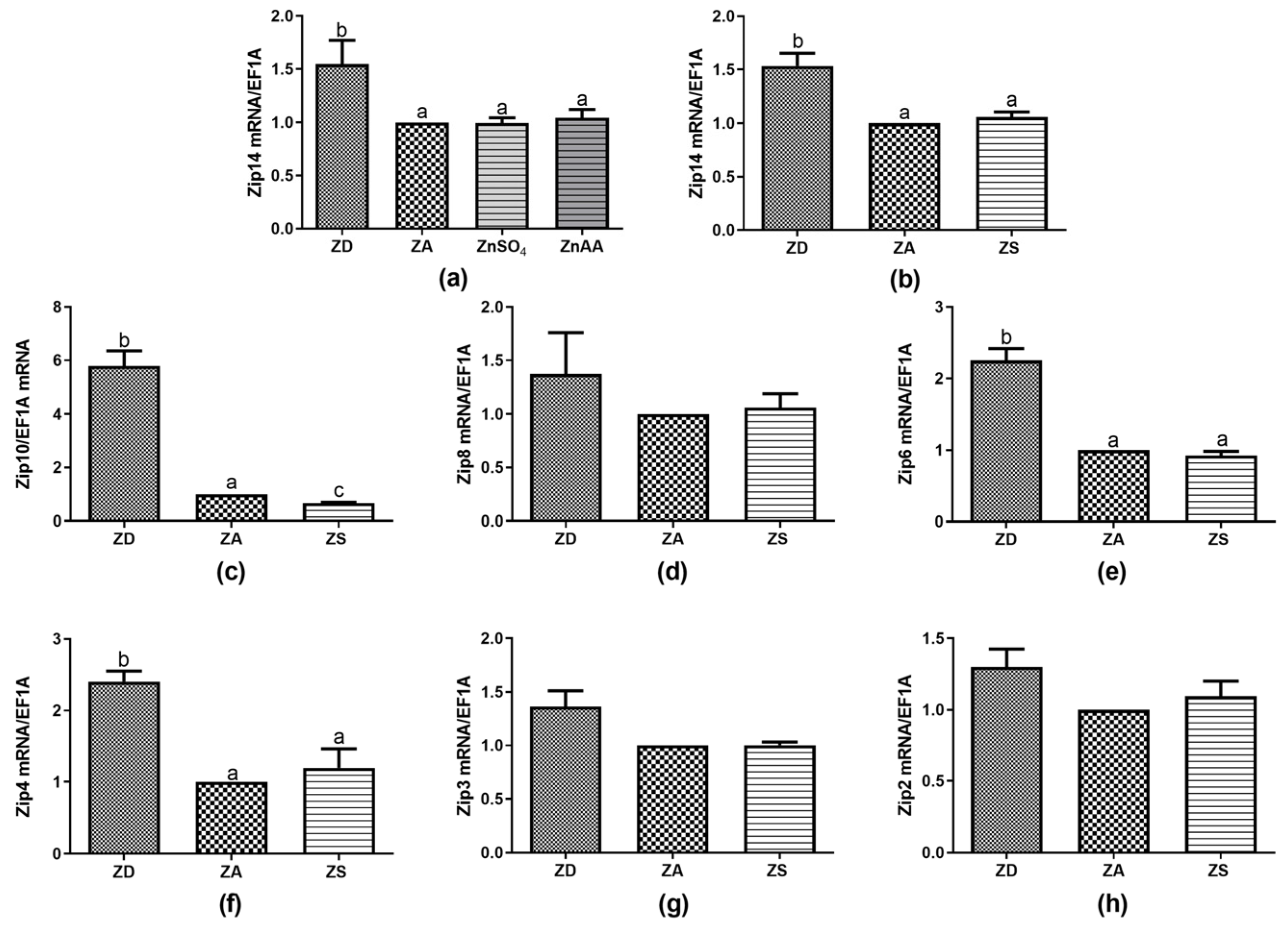 Biology 12 00338 g002 Biology 12 00338 g002