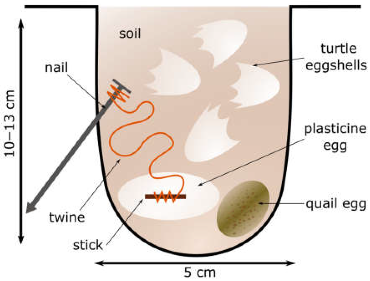 Biology 12 00342 g002