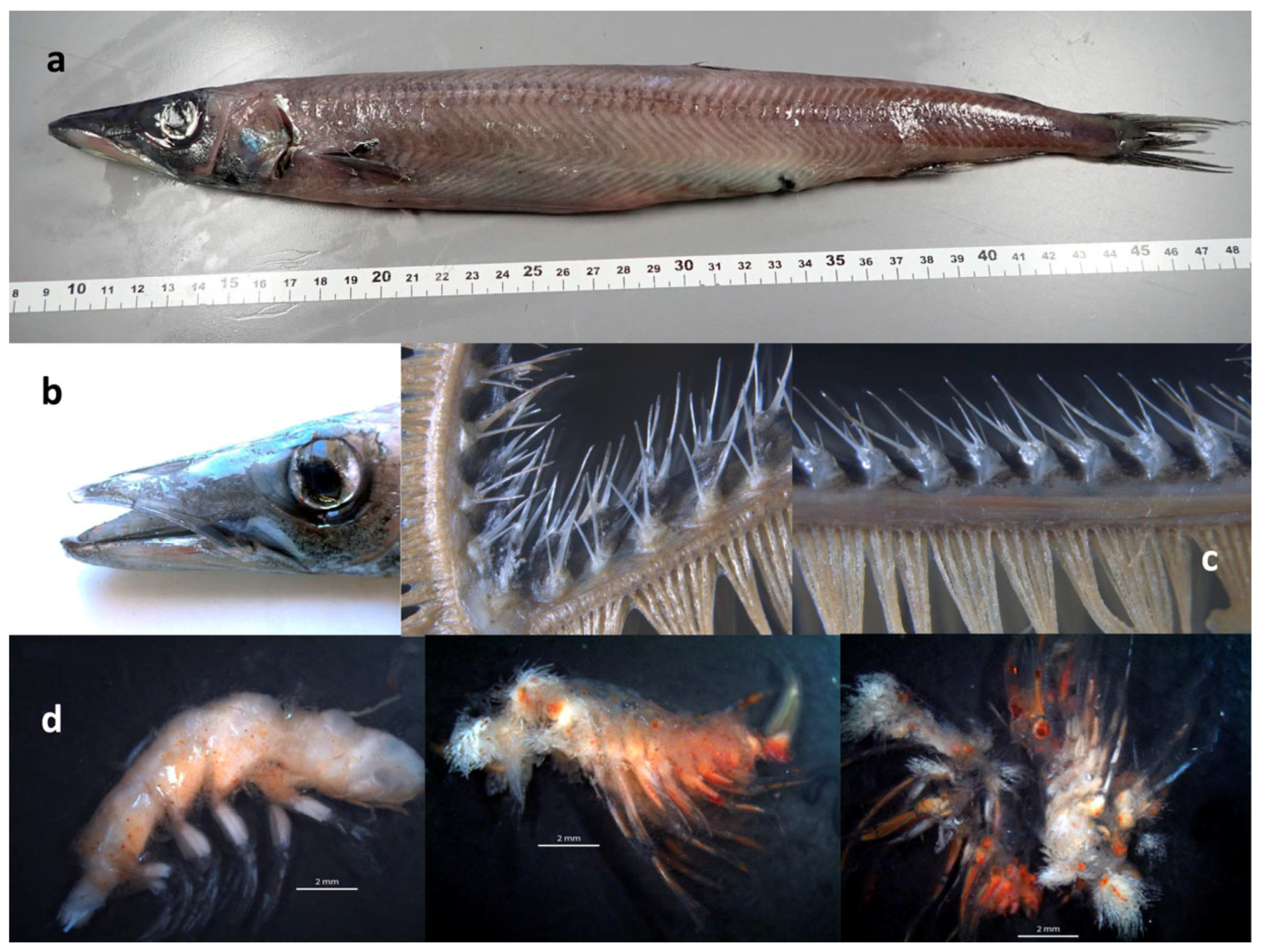 Biology 12 00349 g001