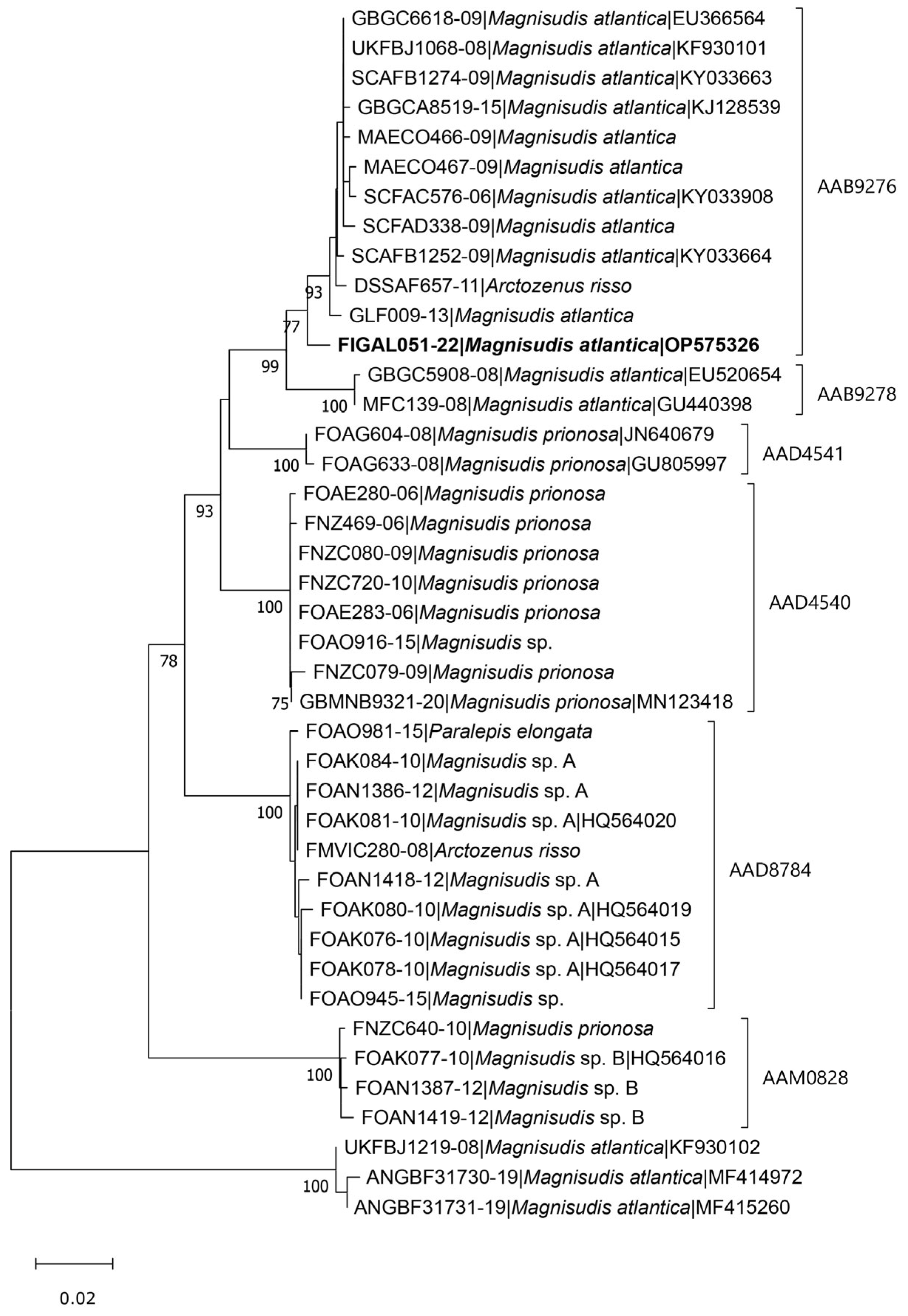 Biology 12 00349 g002