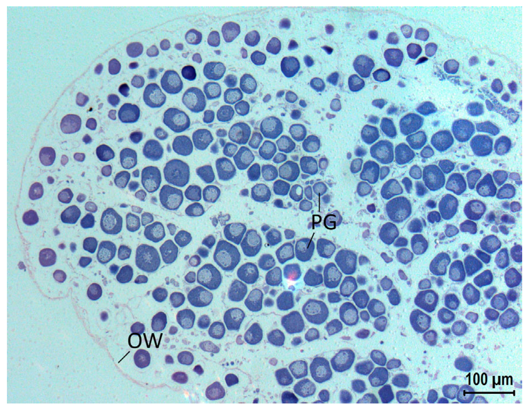 Biology 12 00349 g003