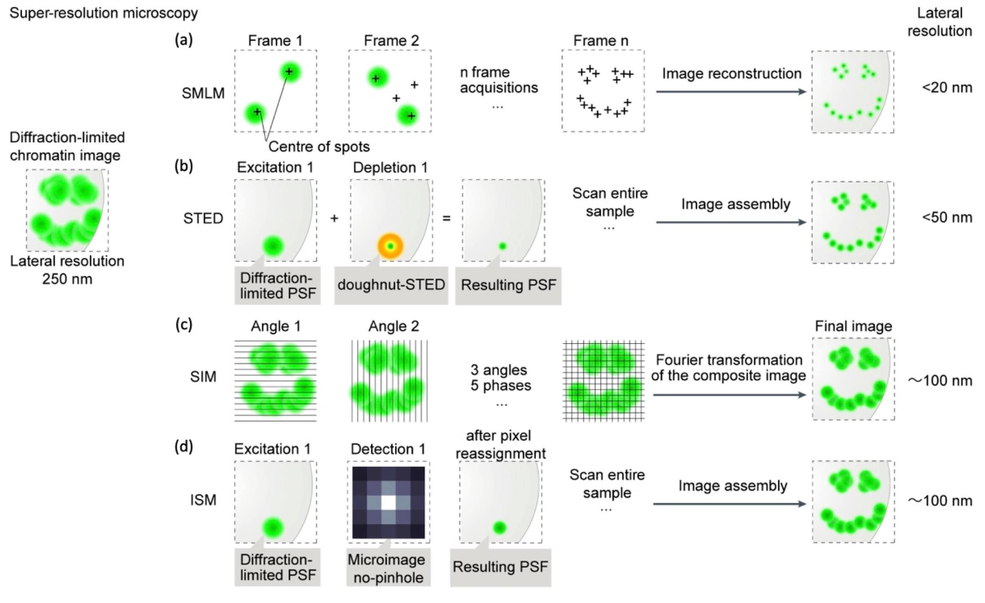 Biology 12 00374 g002 Biology 12 00374 g002