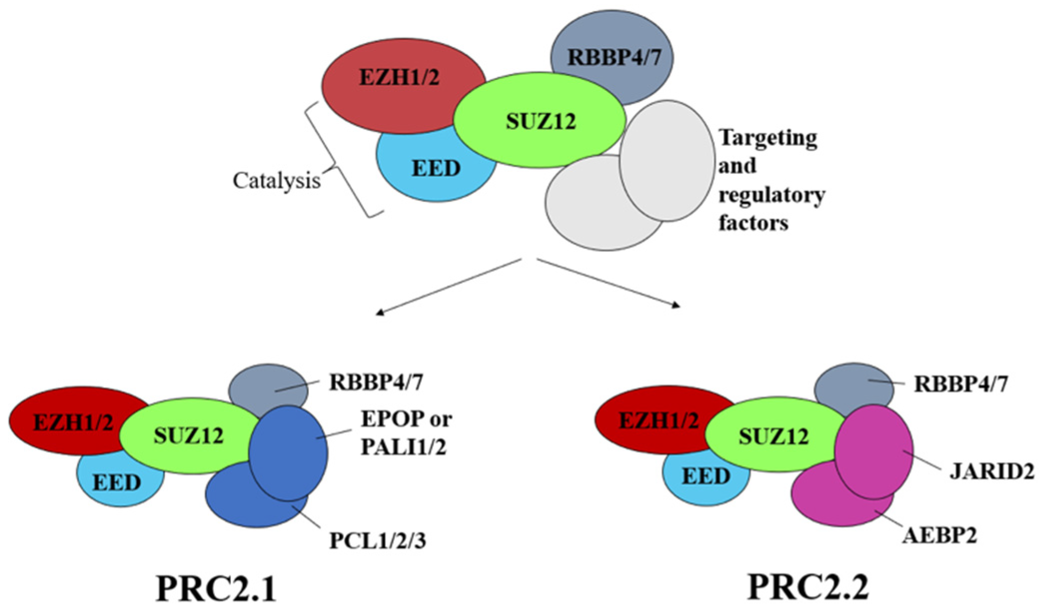 Biology 12 00374 g004 Biology 12 00374 g004