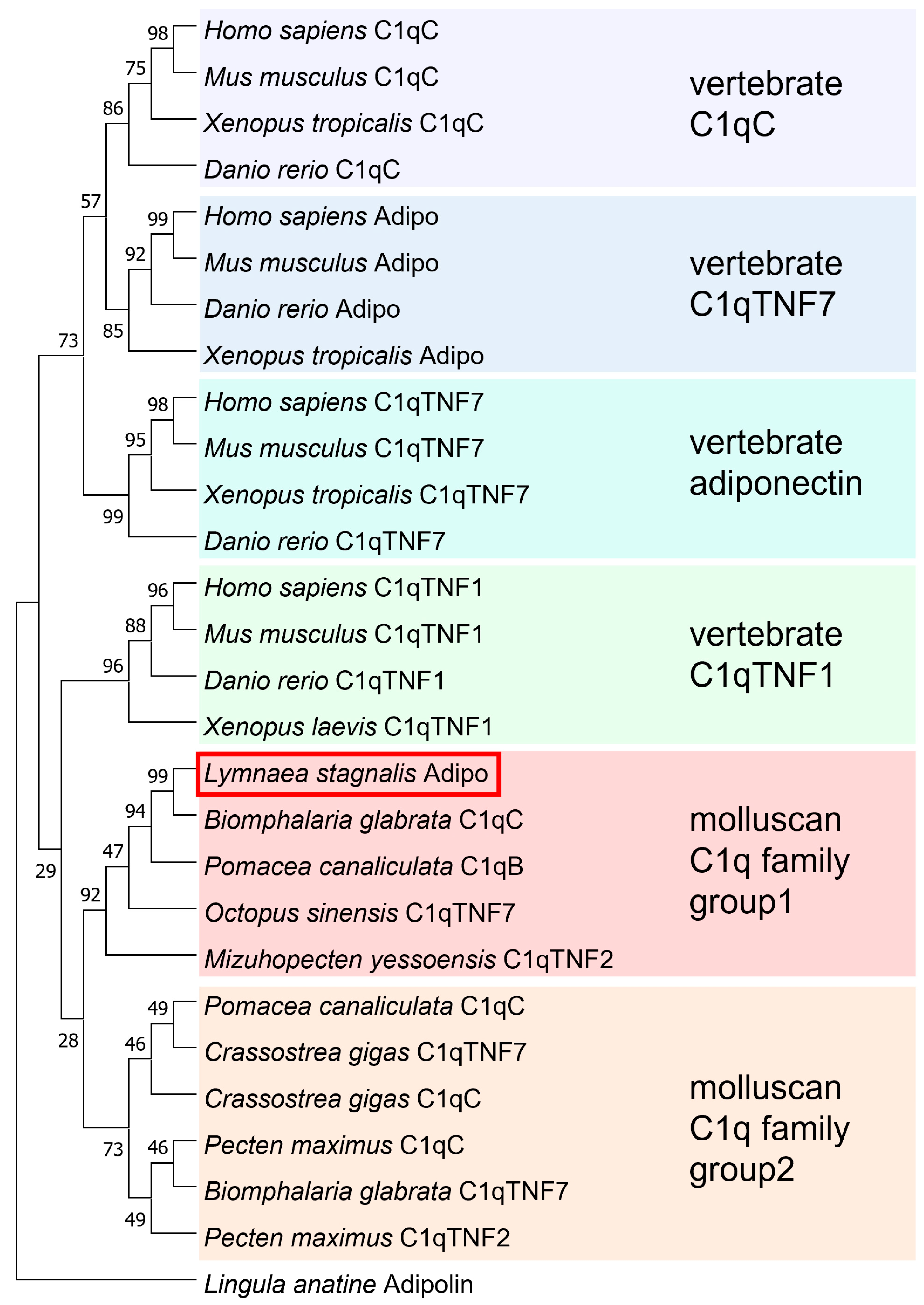 Biology 12 00375 g003 Biology 12 00375 g003