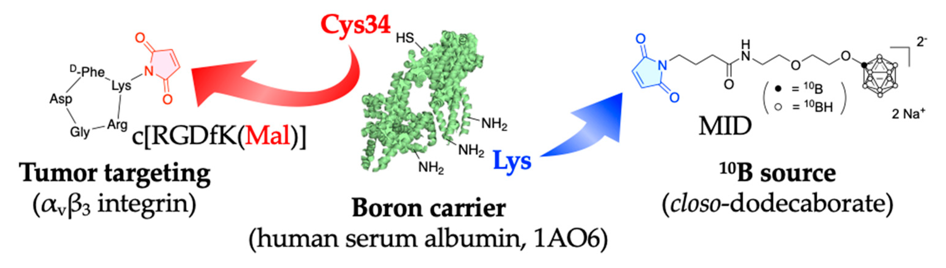 Biology 12 00377 g0a1 Biology 12 00377 g0a1