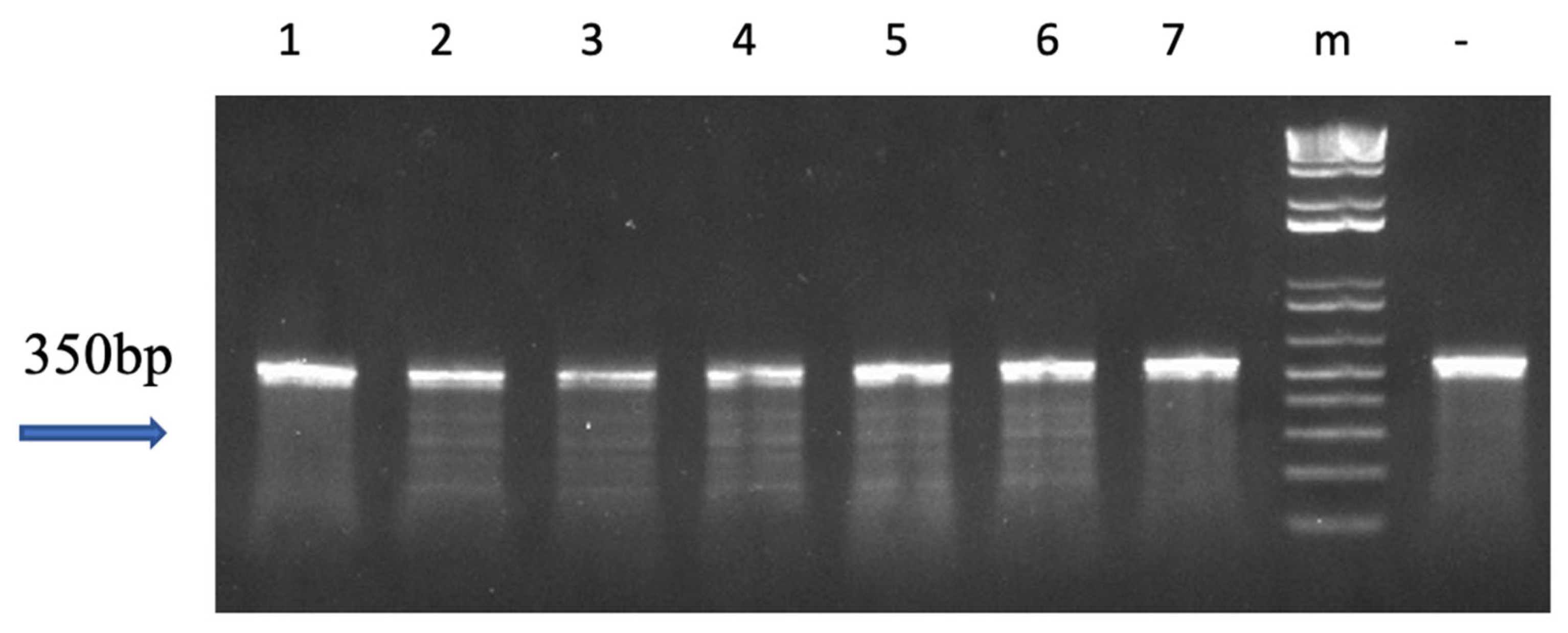 Biology 12 00392 g004