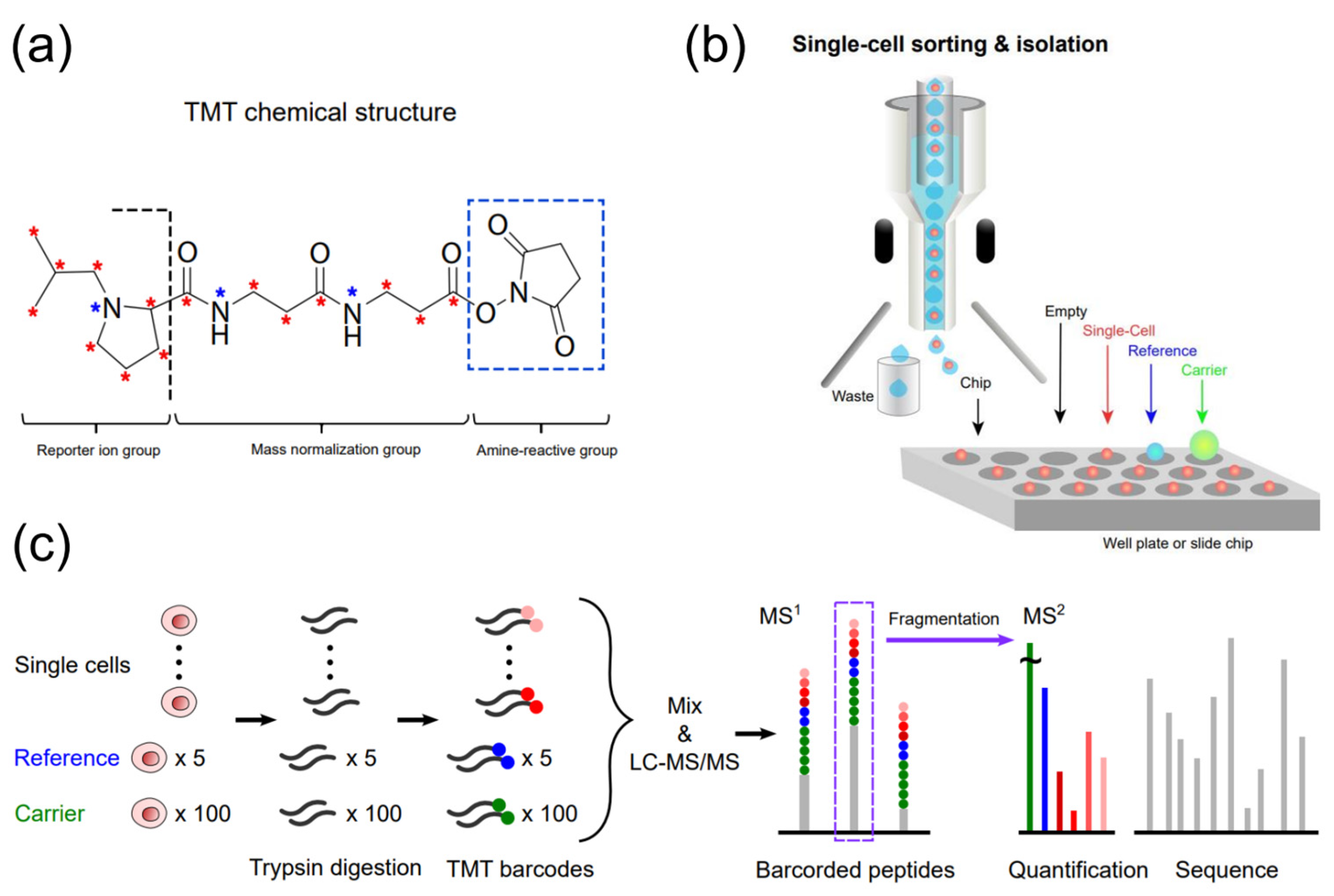 Biology 12 00395 g002