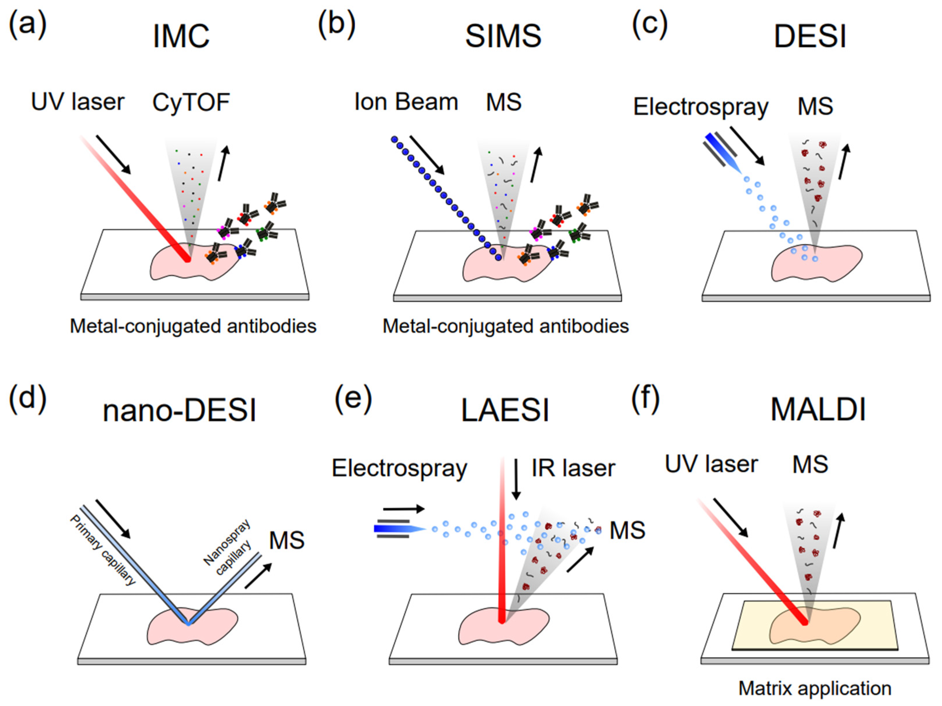 Biology 12 00395 g004