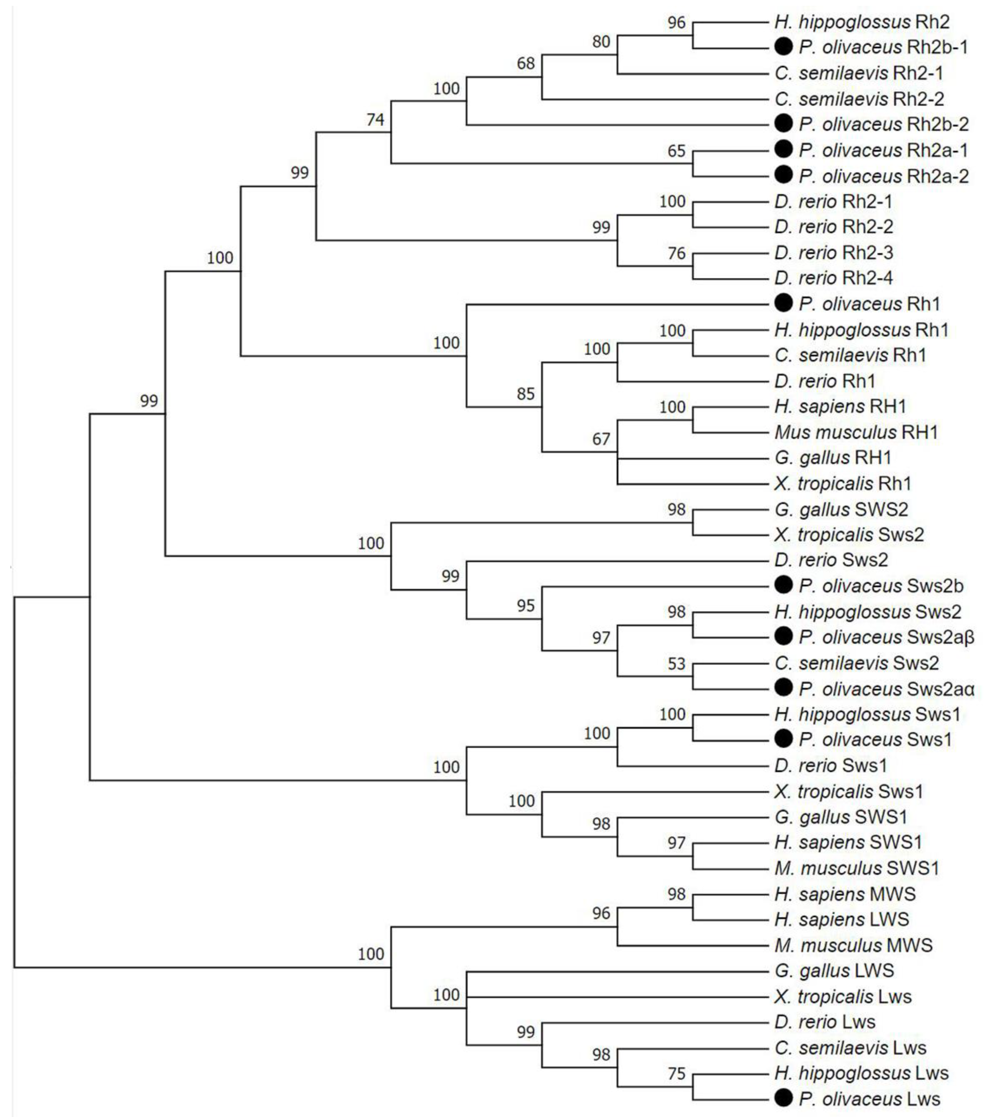 Biology 12 00397 g001