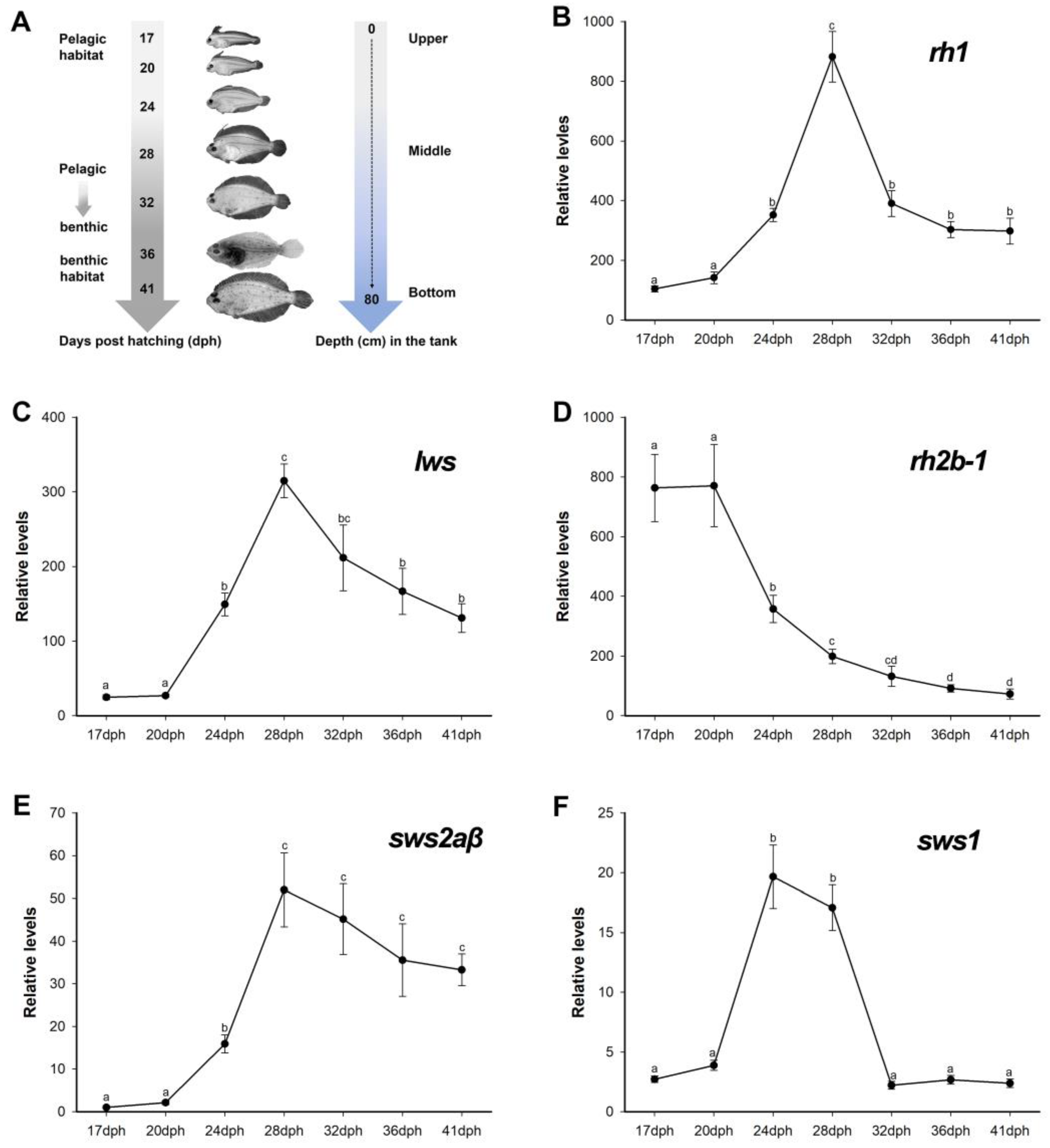 Biology 12 00397 g003
