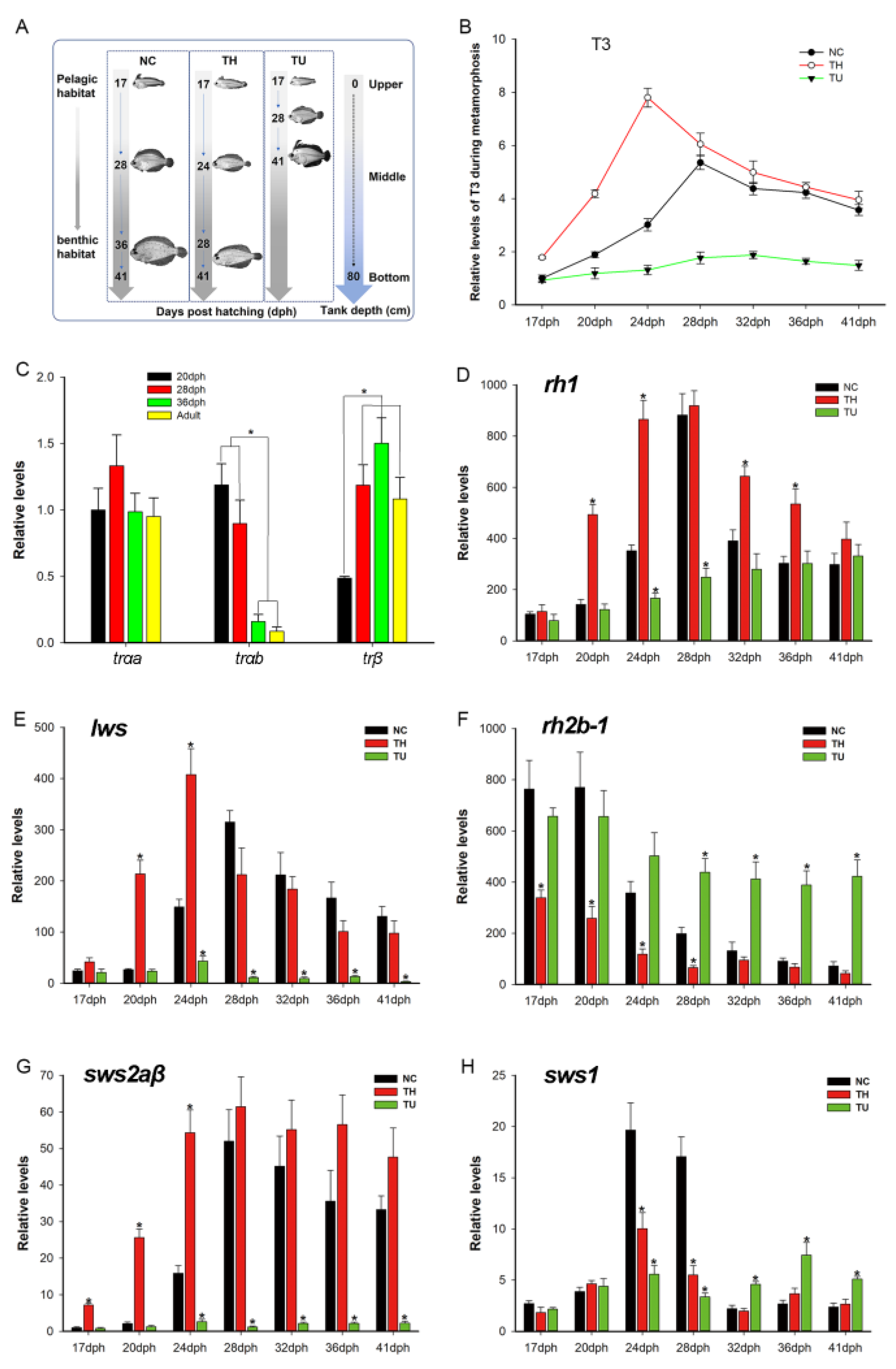 Biology 12 00397 g004