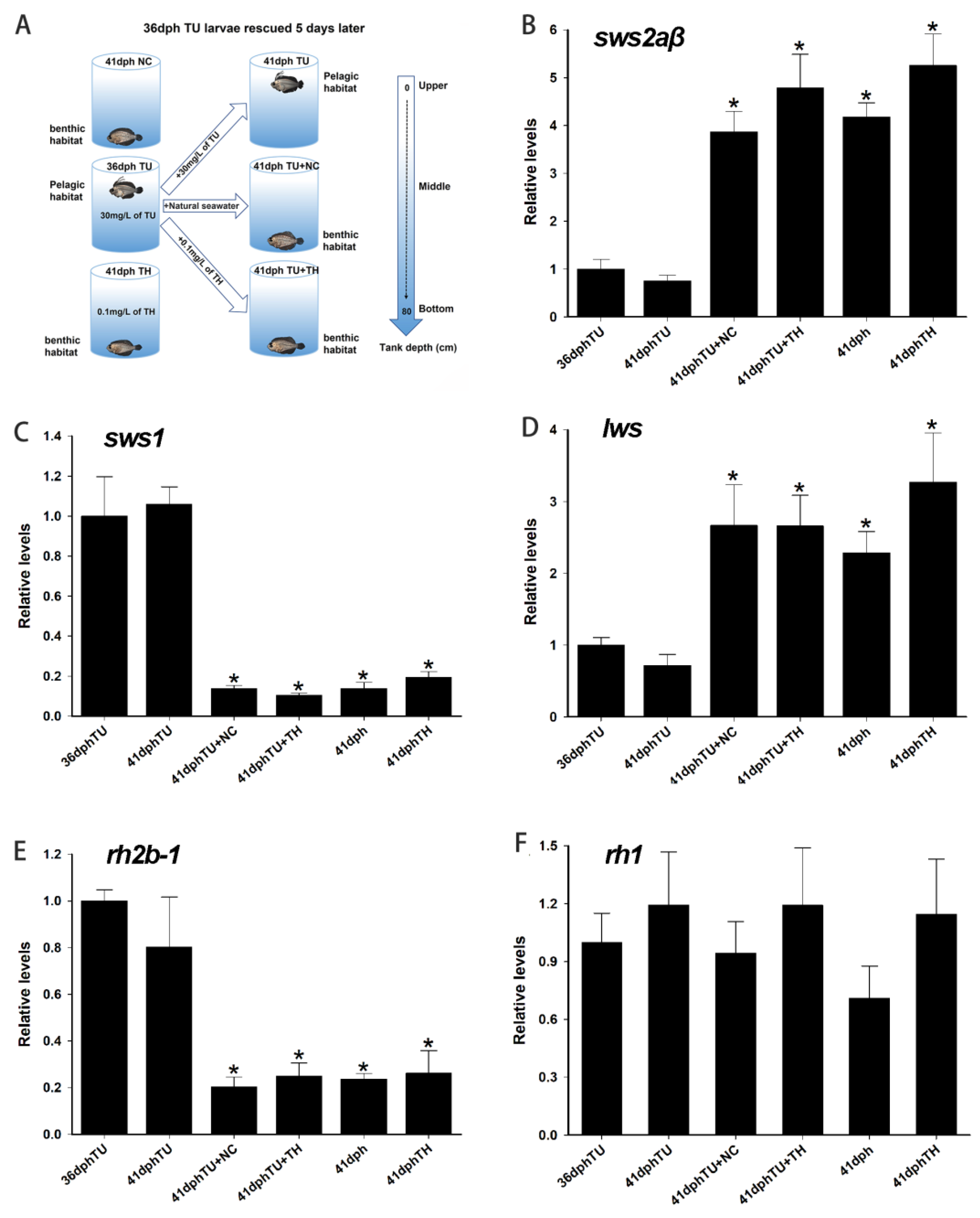 Biology 12 00397 g005