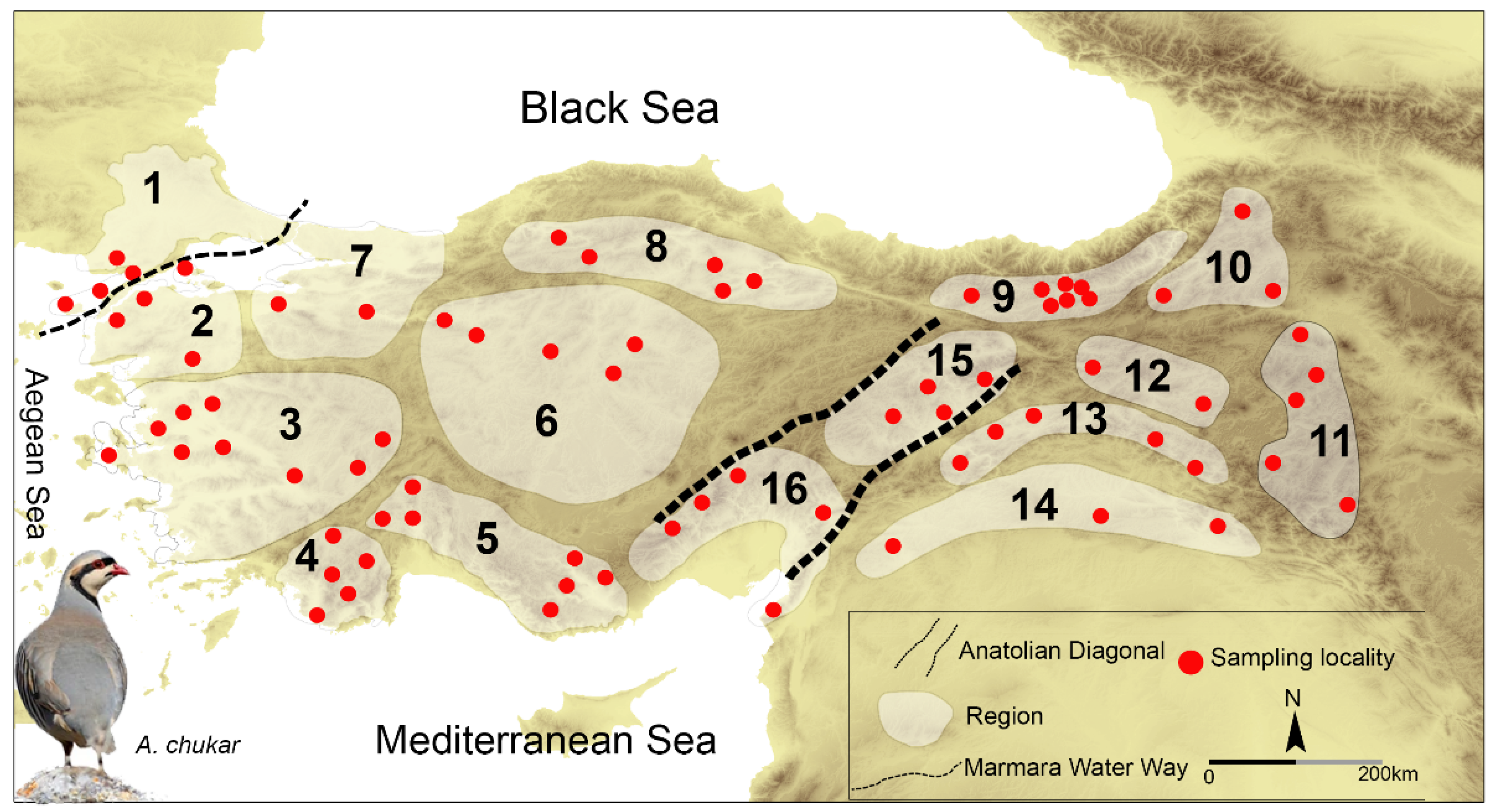 Biology 12 00401 g001