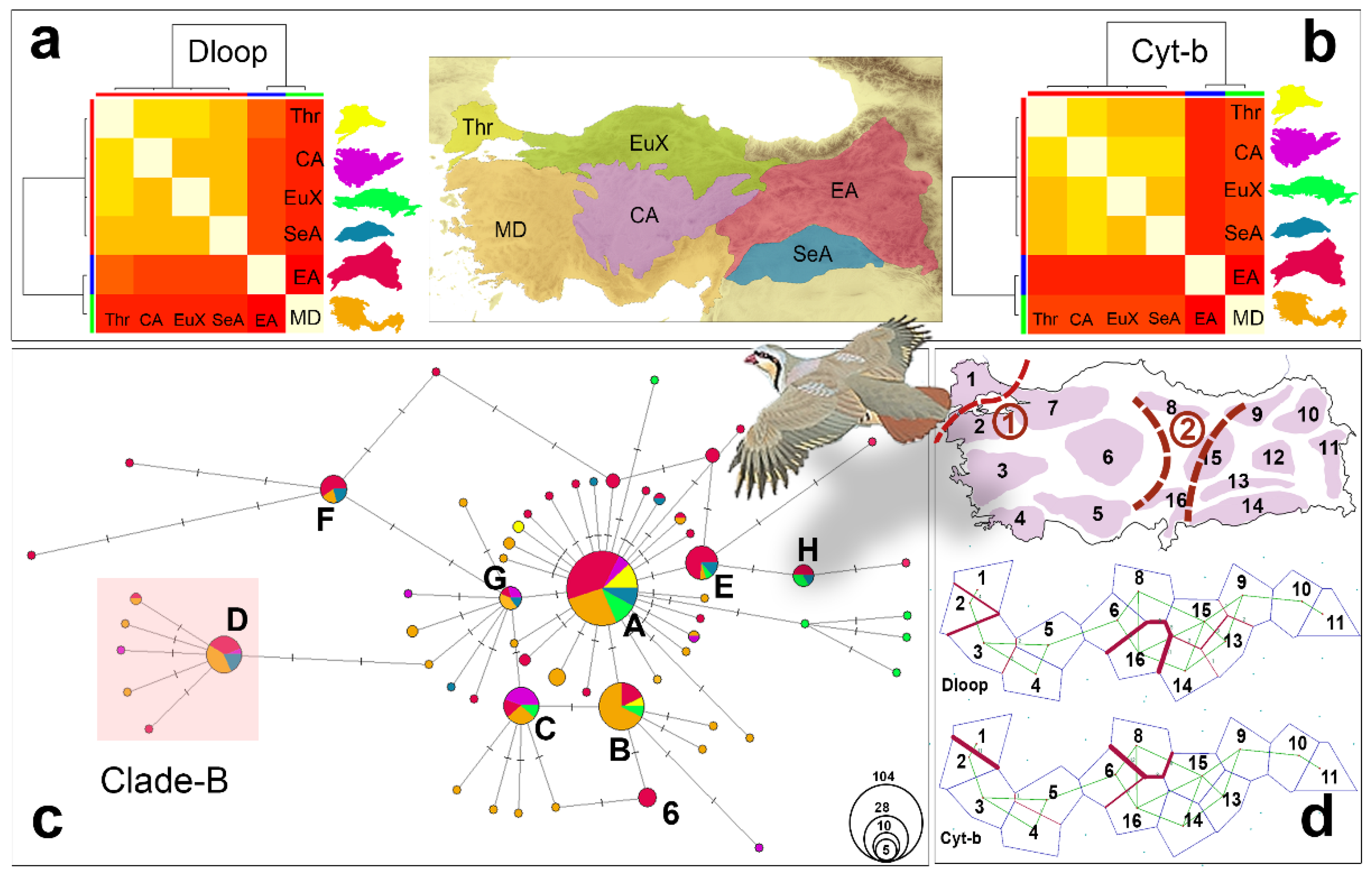 Biology 12 00401 g002