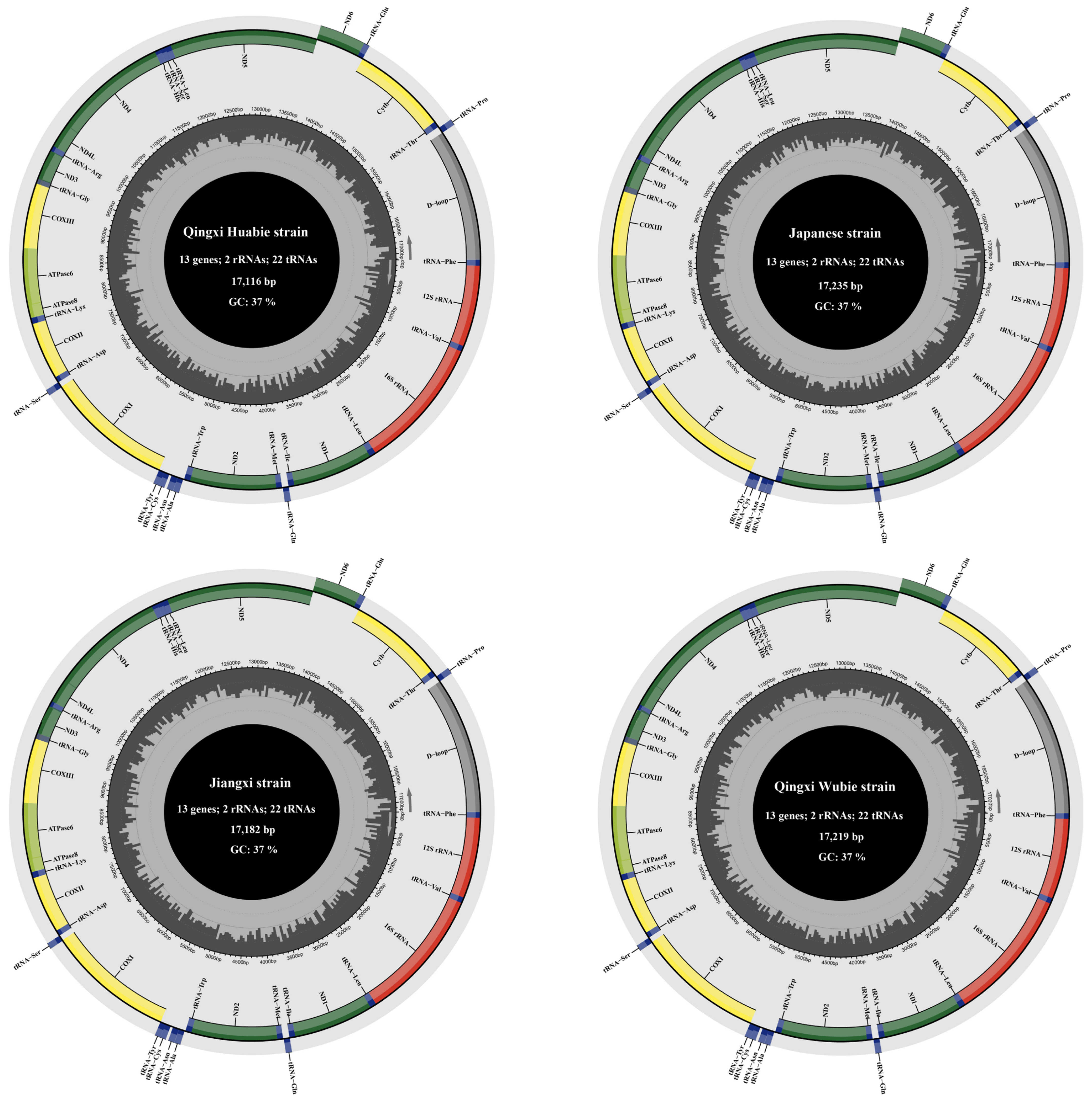 Biology 12 00406 g001