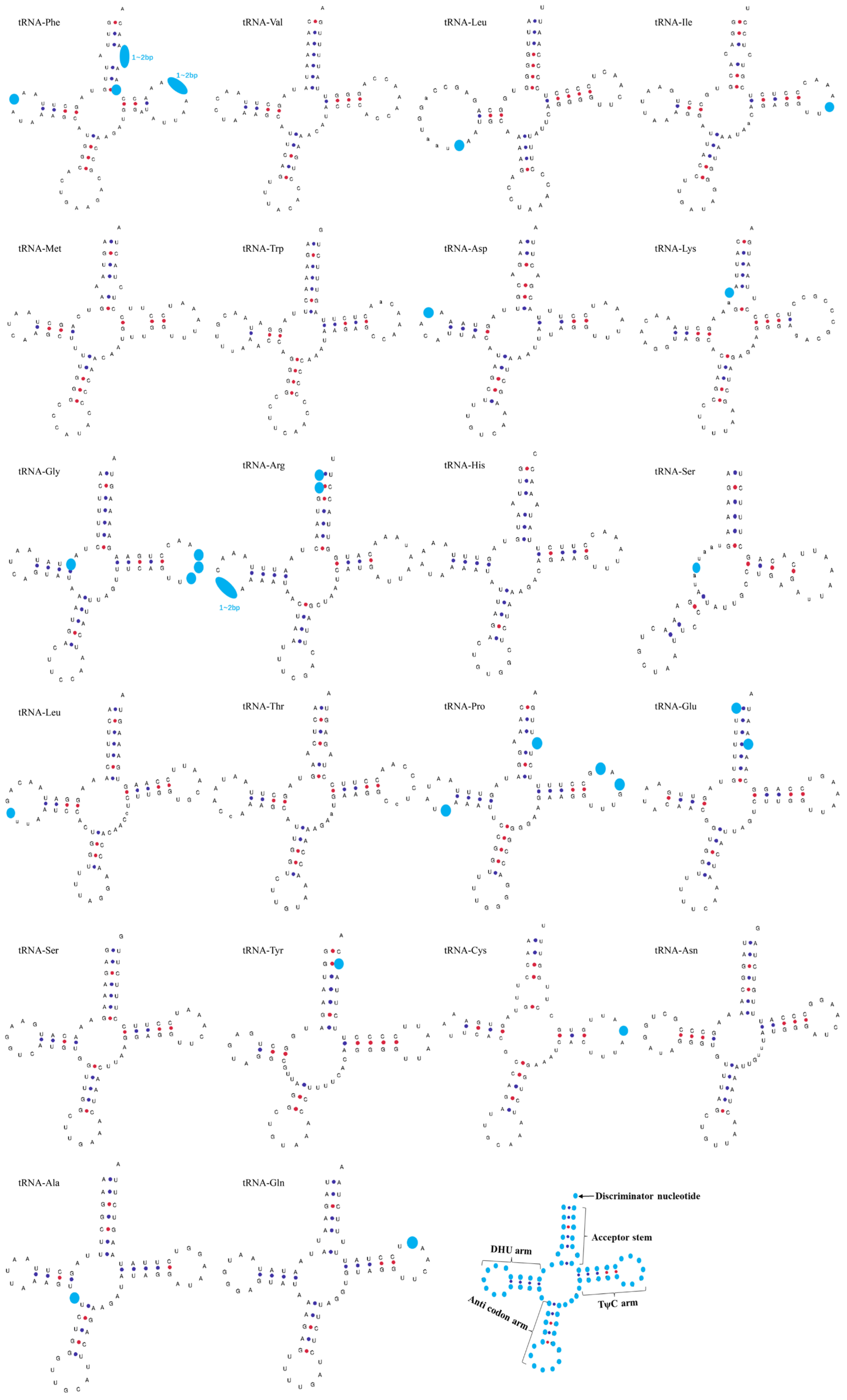 Biology 12 00406 g006
