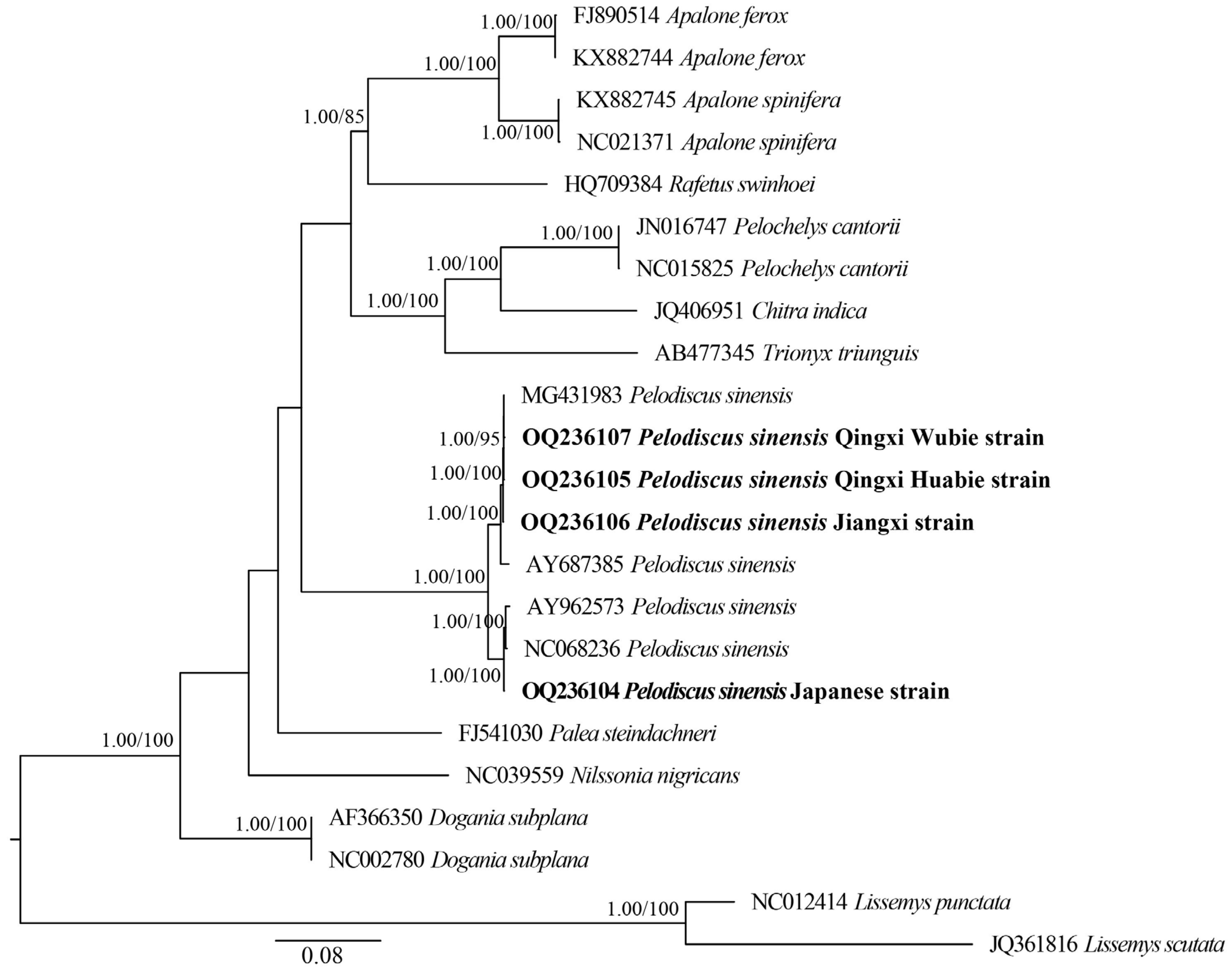 Biology 12 00406 g008