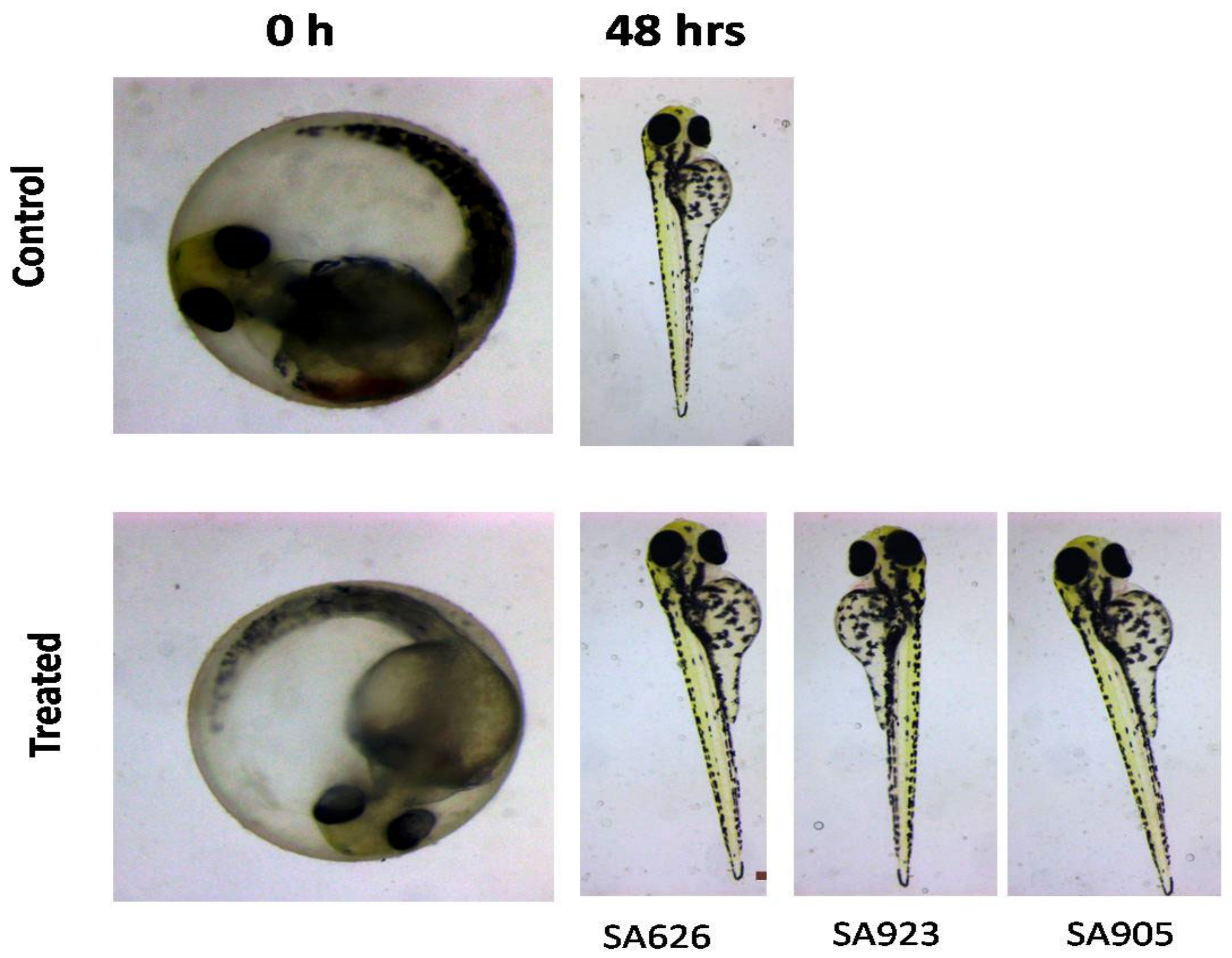 Biology 12 00412 g006
