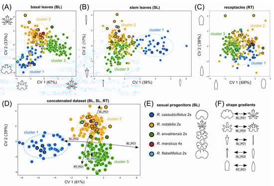 Biology 12 00418 g003