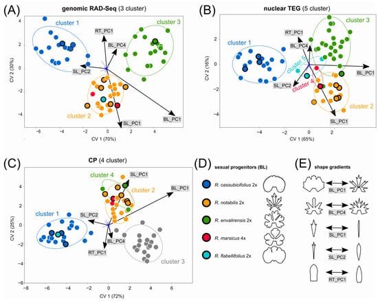 Biology 12 00418 g004