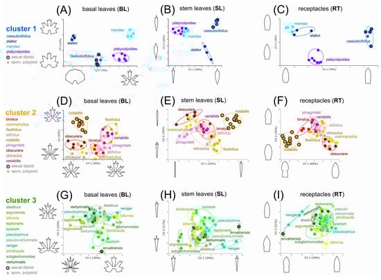 Biology 12 00418 g006