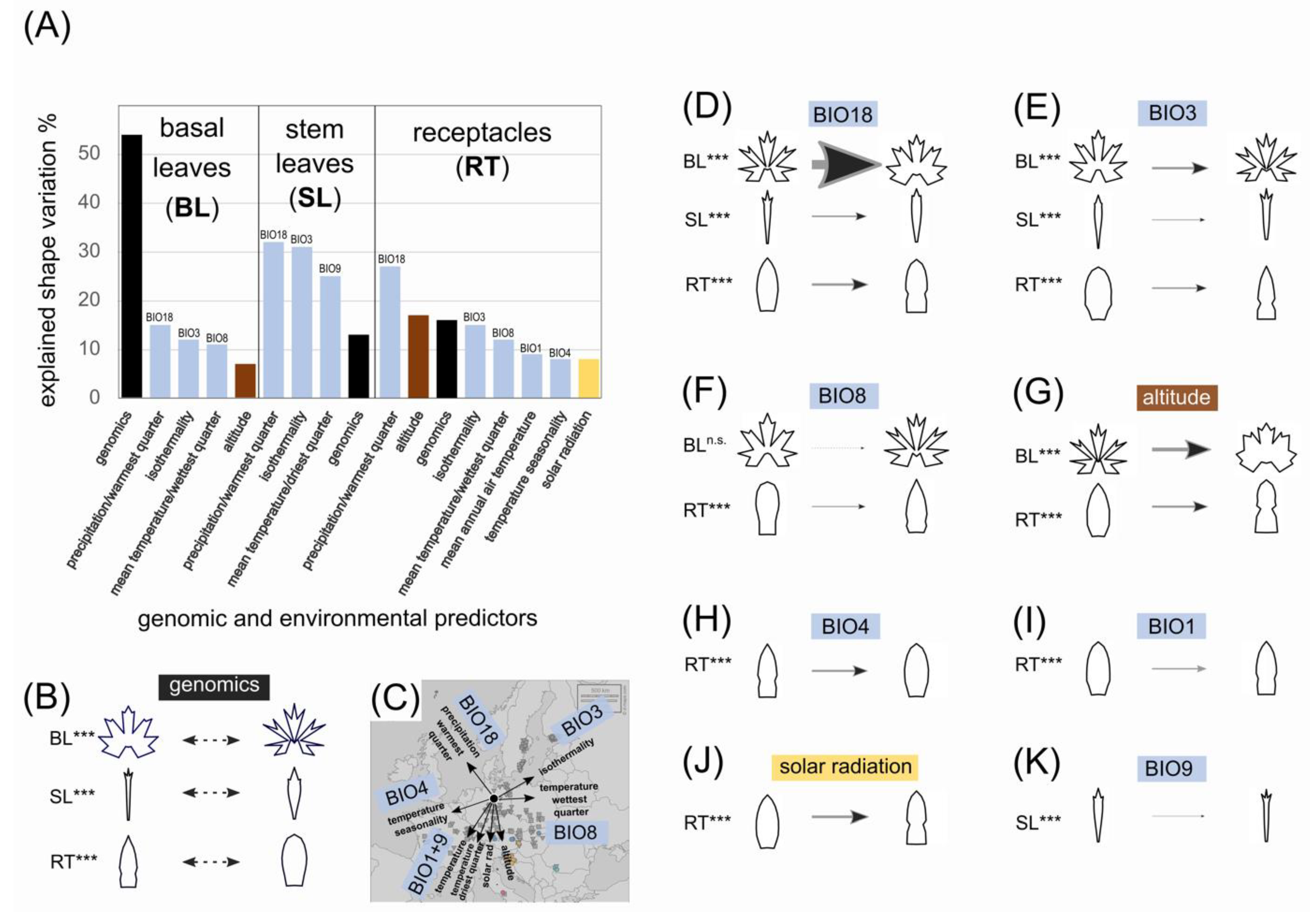 Biology 12 00418 g008