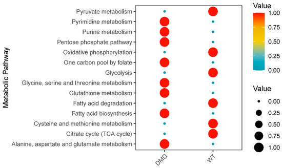 Biology 12 00422 g004