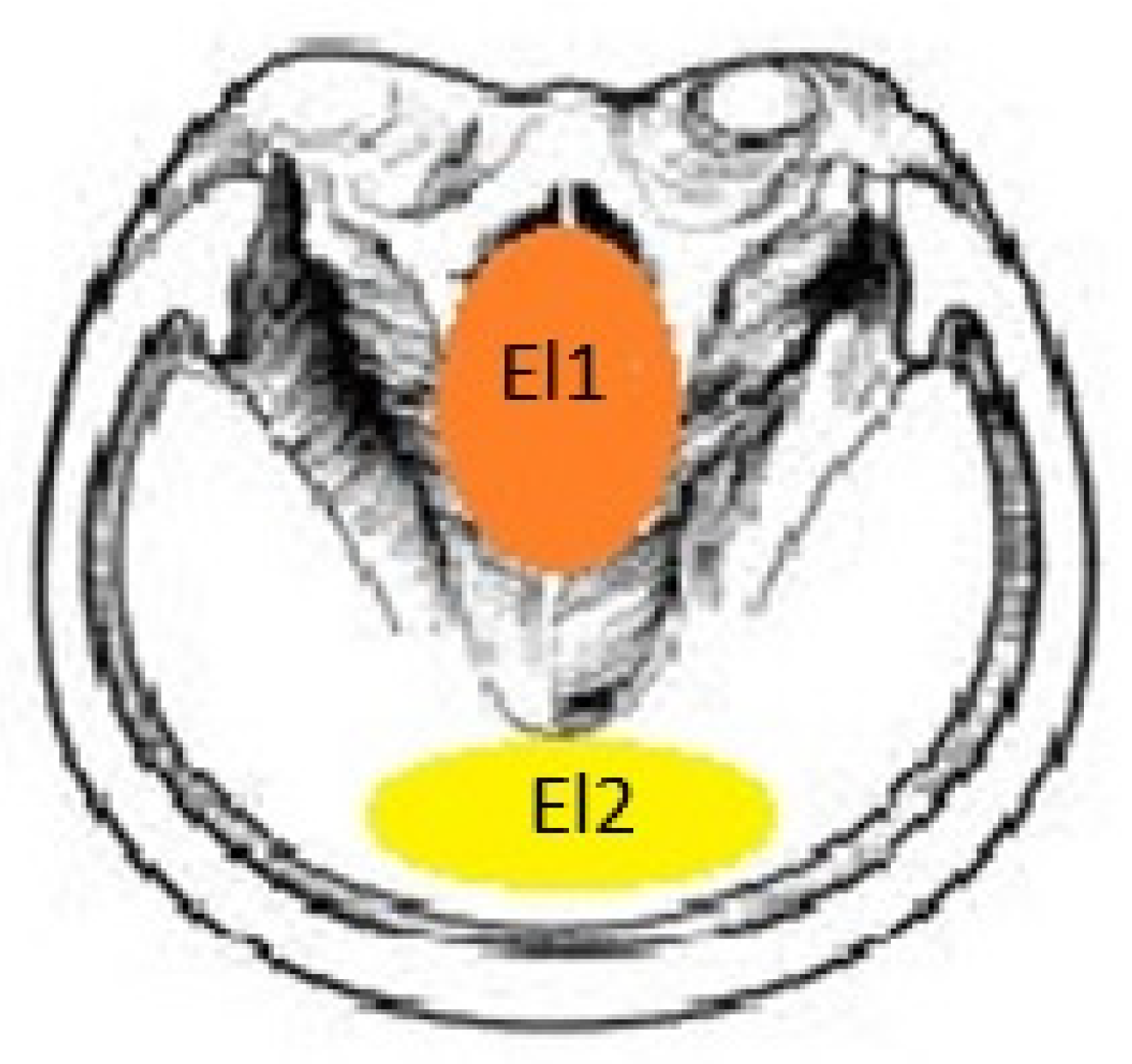 Biology 12 00423 g001