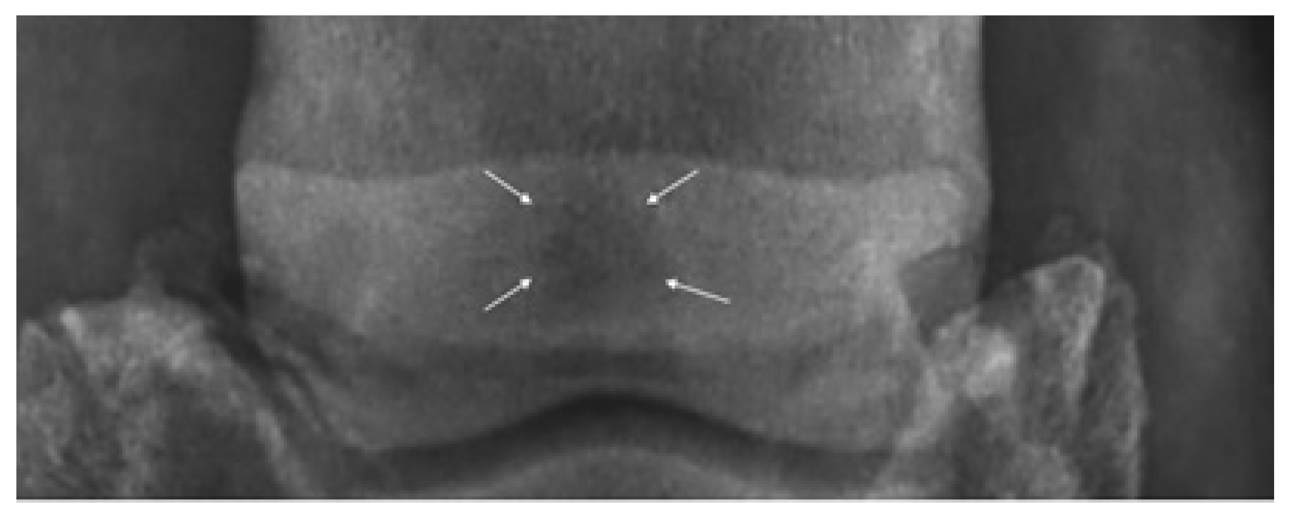 Biology 12 00423 g002
