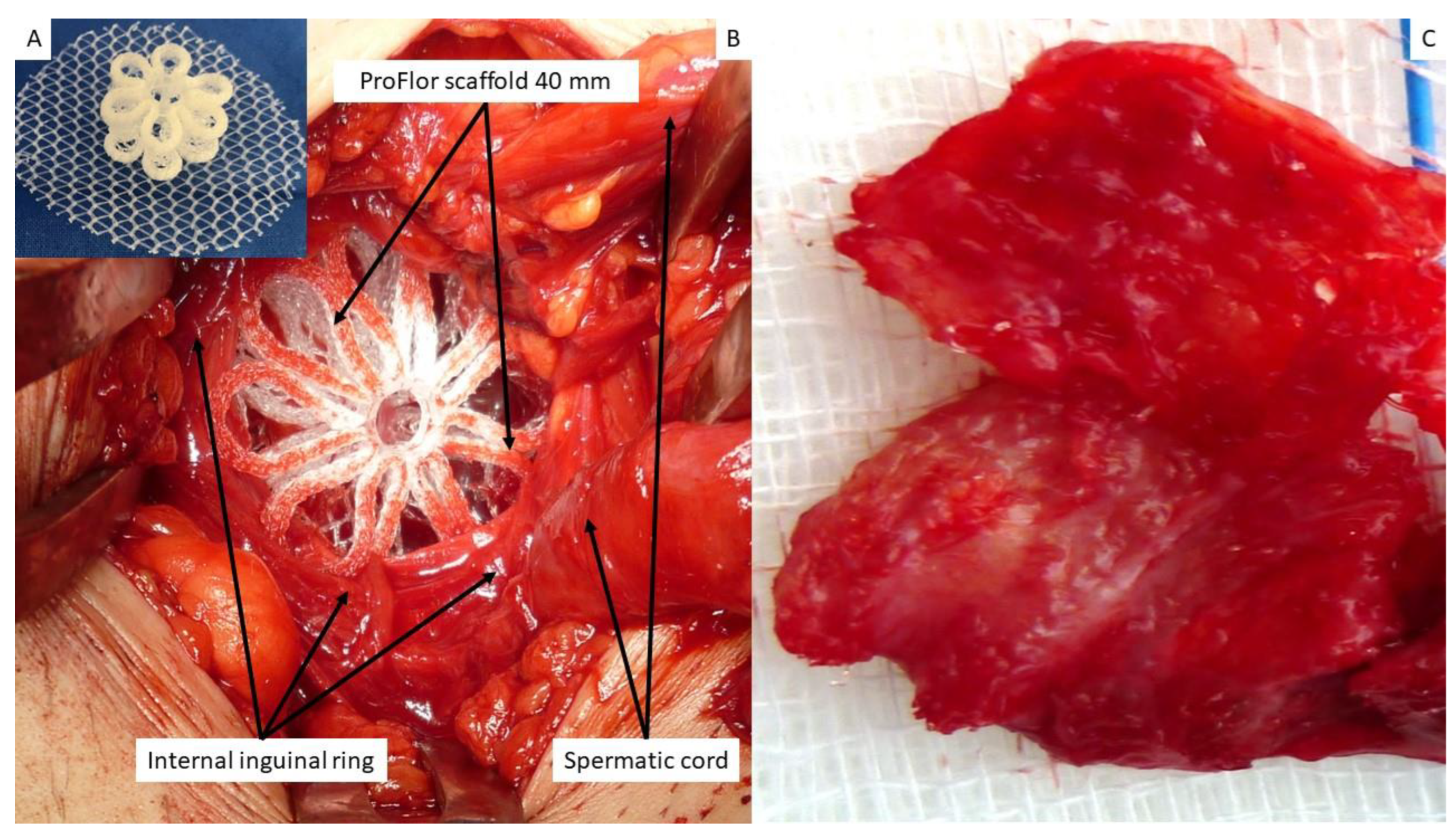 Biology 12 00434 g001